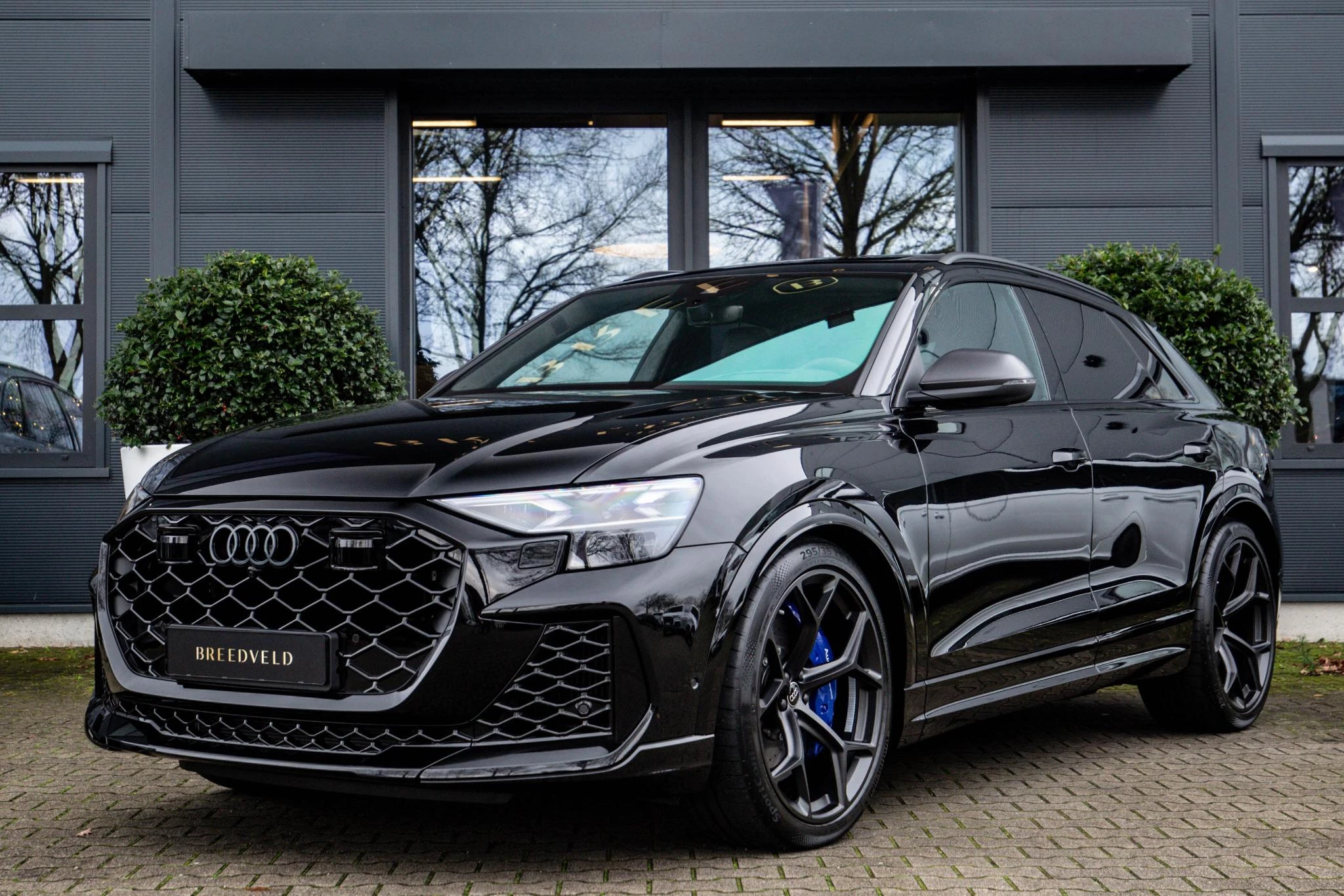 Hoofdafbeelding Audi RSQ8