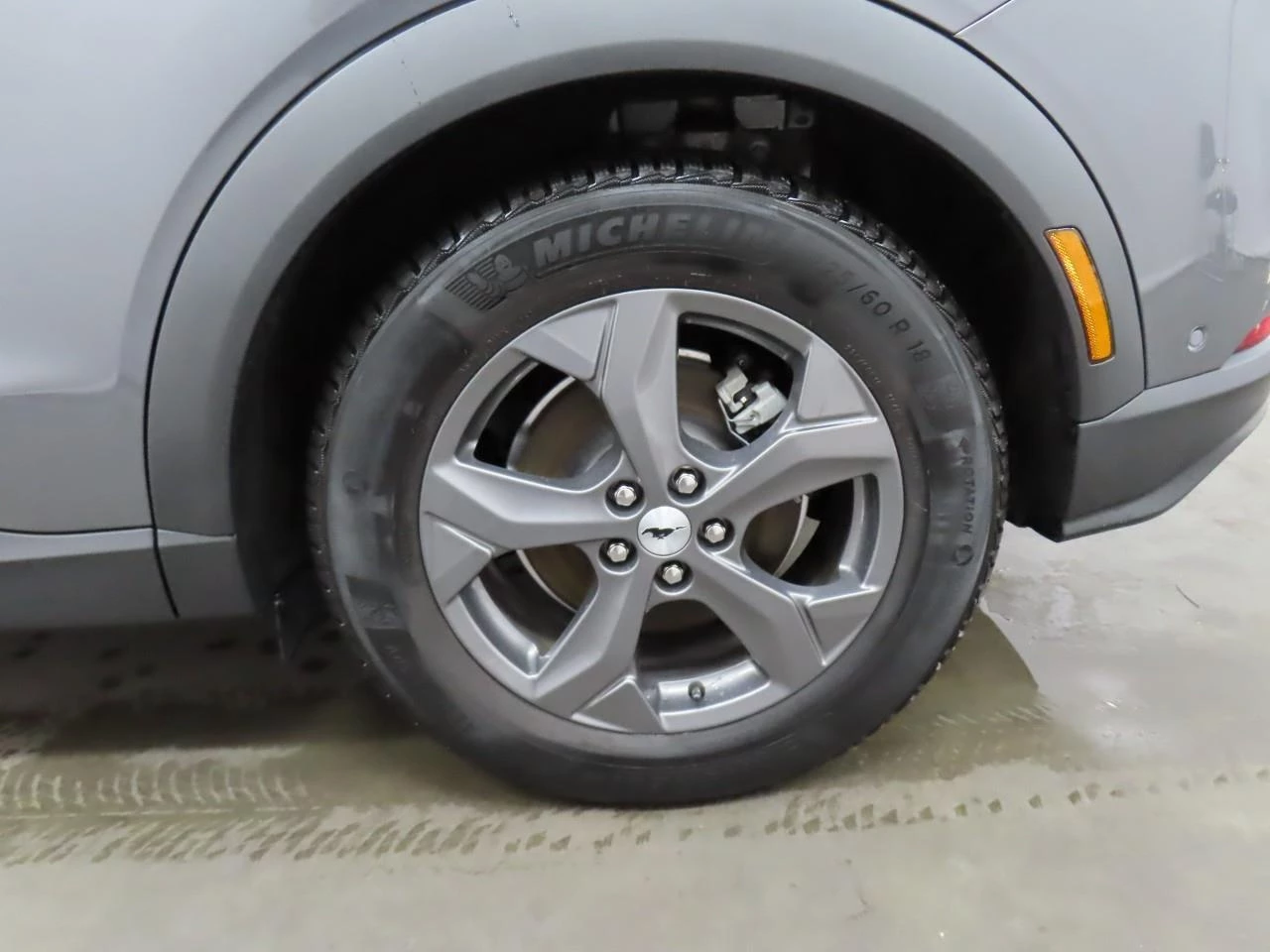 Hoofdafbeelding Ford Mustang Mach-E