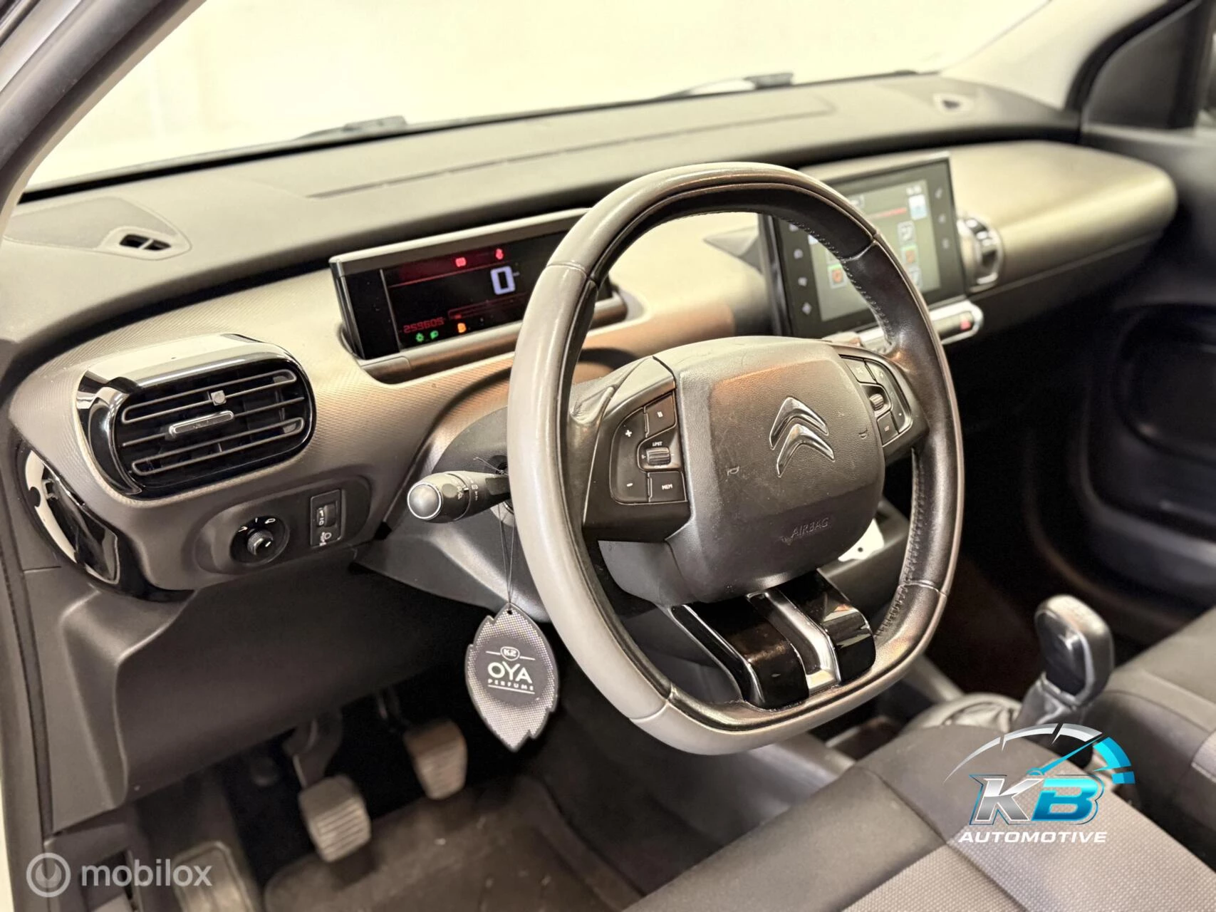 Hoofdafbeelding Citroën C4 Cactus