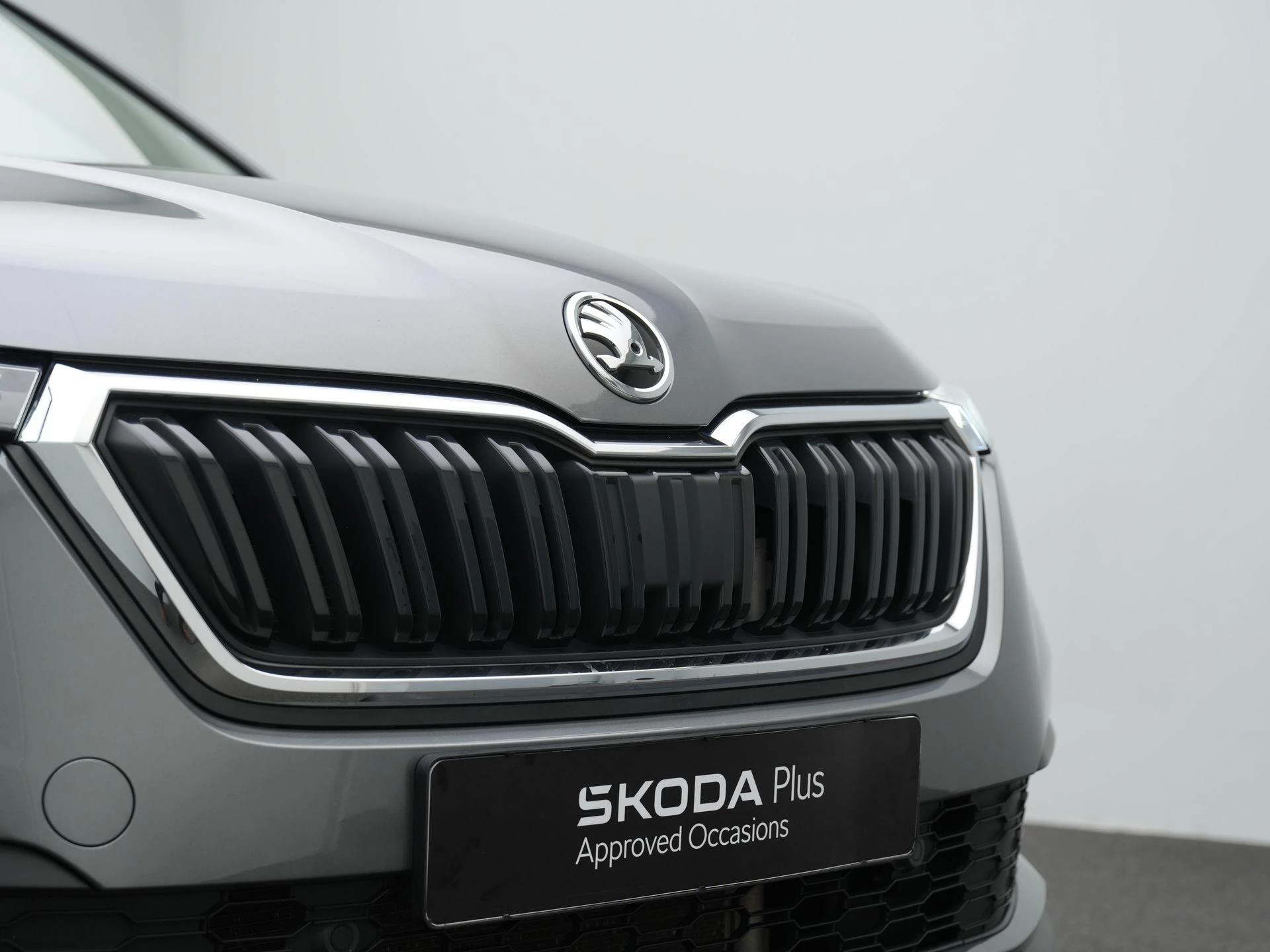 Hoofdafbeelding Škoda Kamiq