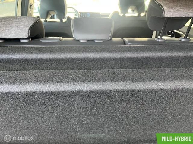 Hoofdafbeelding Renault Austral