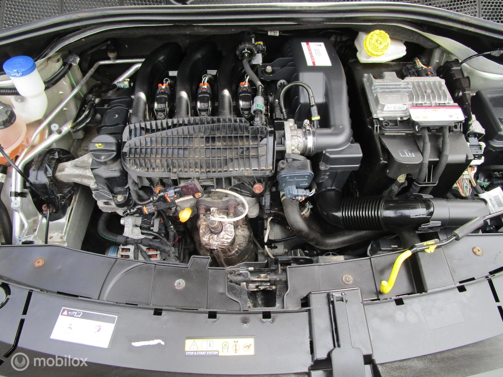 Hoofdafbeelding Citroën C4 Cactus