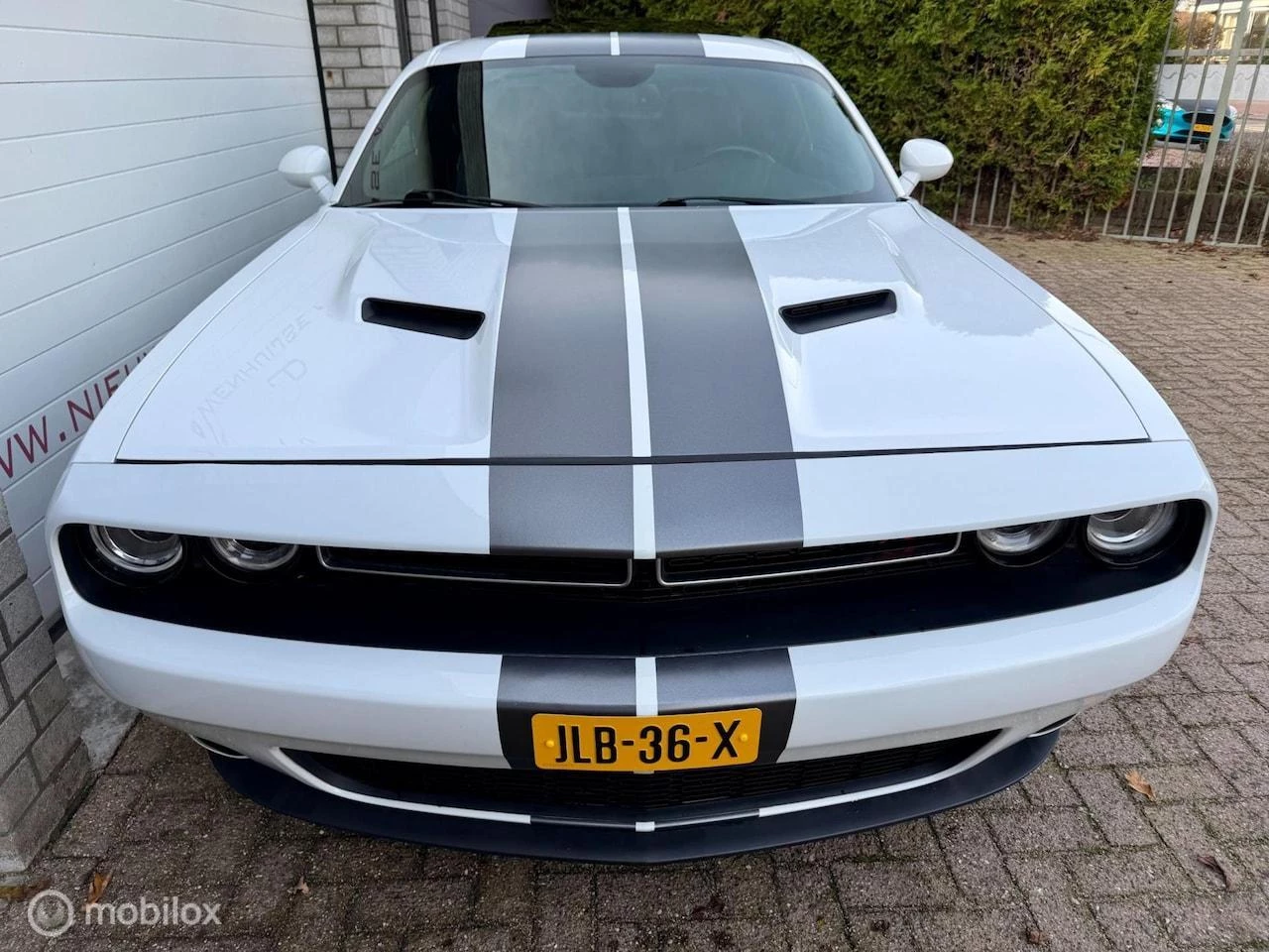 Hoofdafbeelding Dodge Challenger