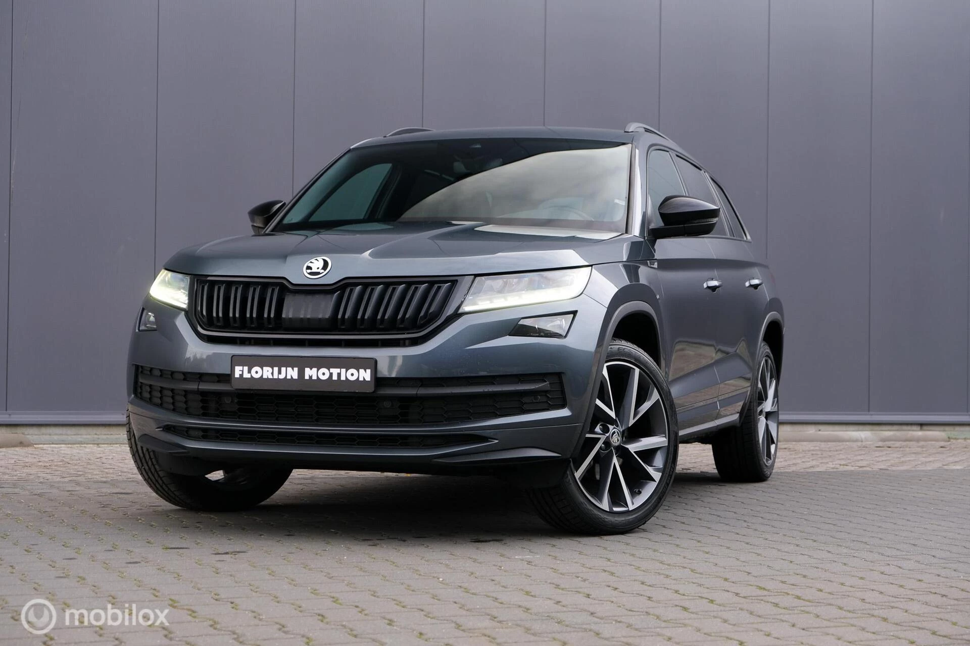 Hoofdafbeelding Škoda Kodiaq