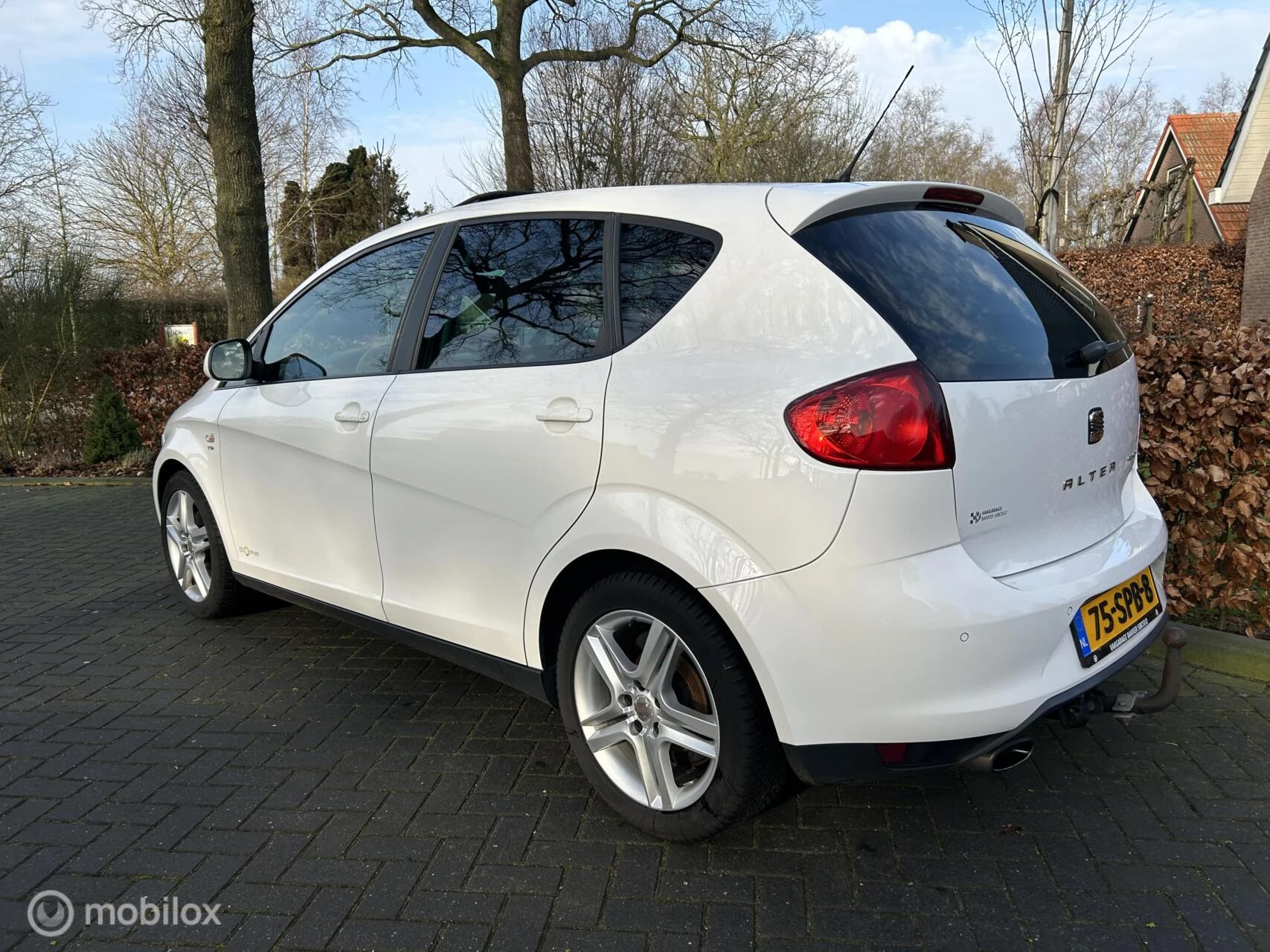 Hoofdafbeelding SEAT Altea