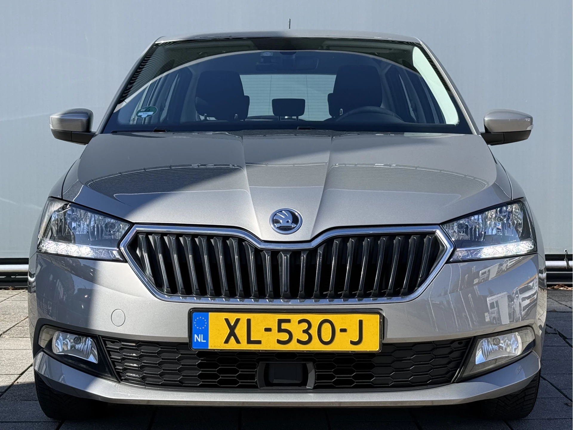 Hoofdafbeelding Škoda Fabia