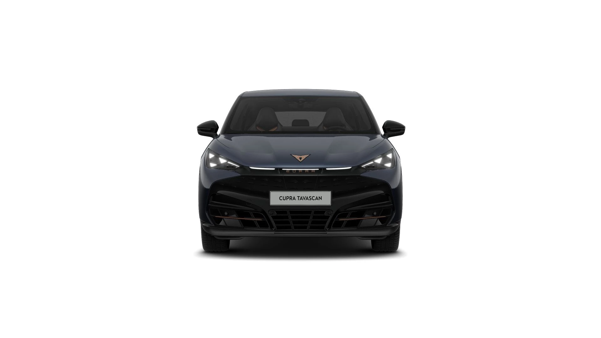 Hoofdafbeelding CUPRA Tavascan