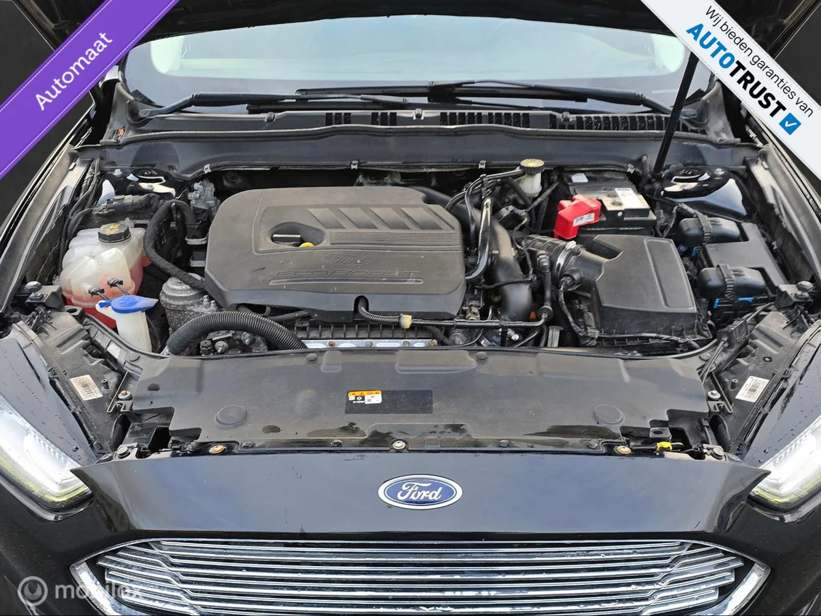 Hoofdafbeelding Ford Mondeo