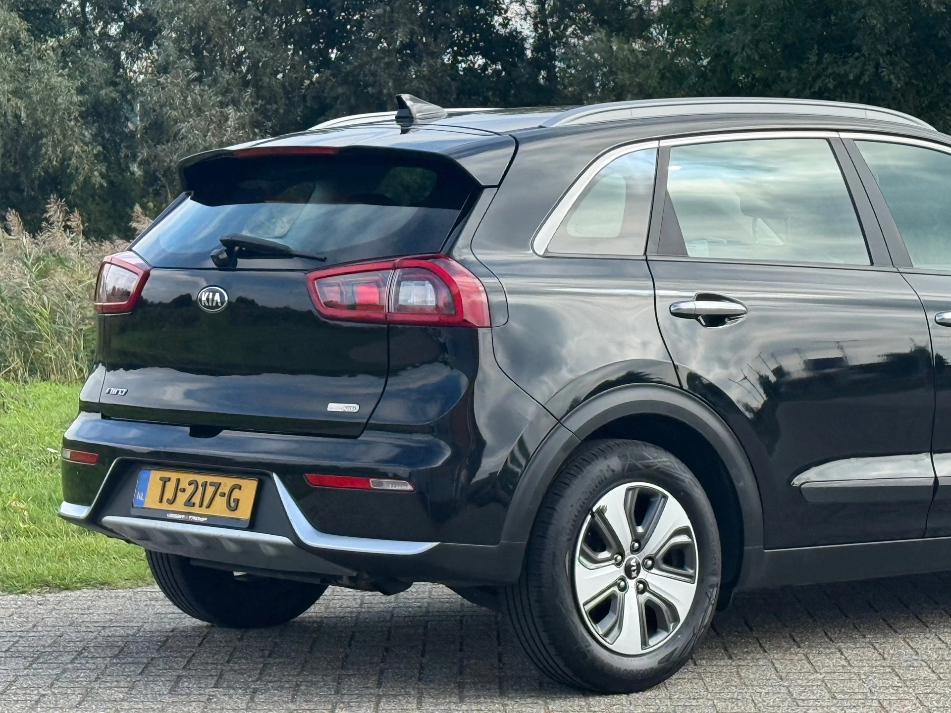 Hoofdafbeelding Kia Niro