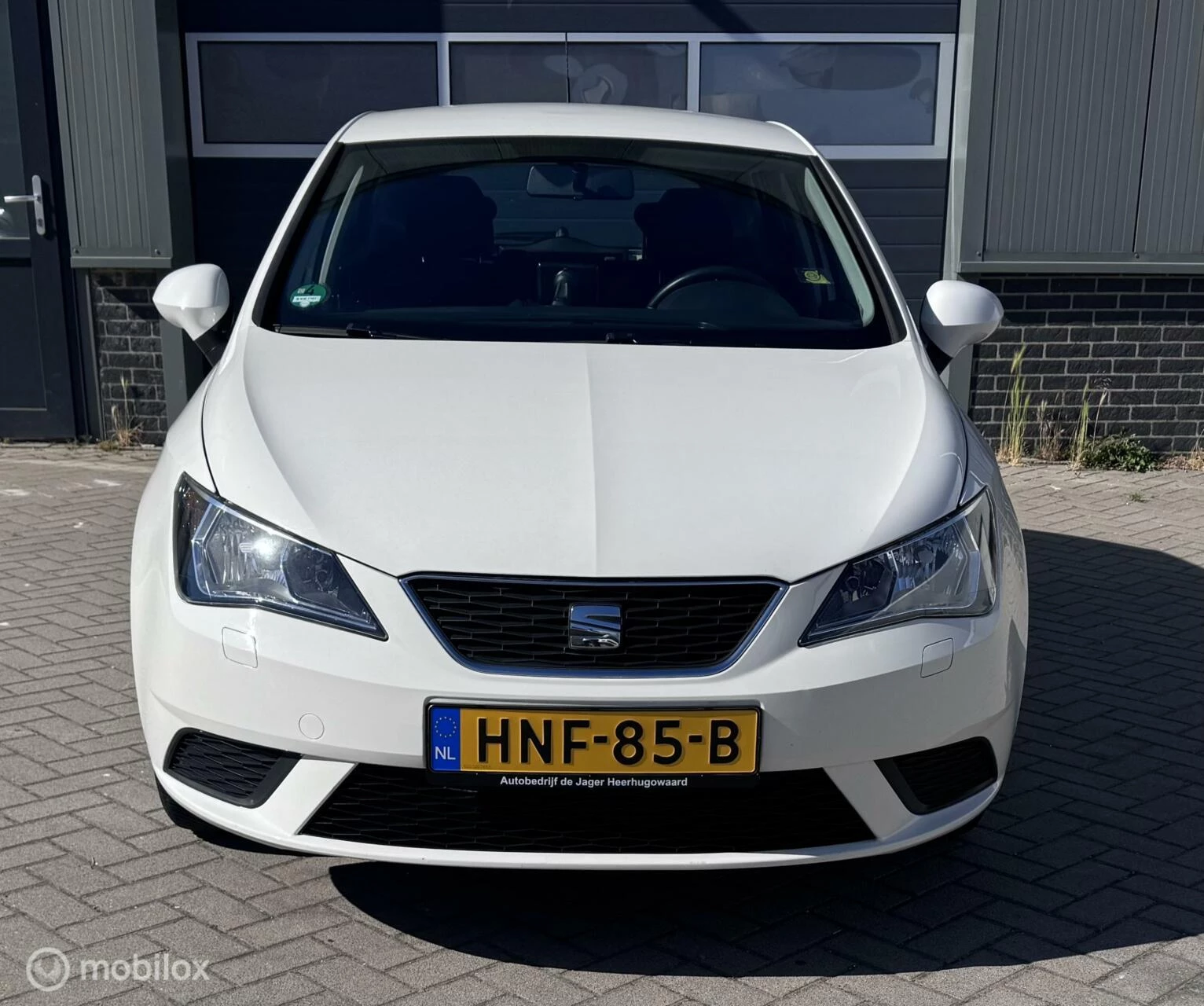 Hoofdafbeelding SEAT Ibiza