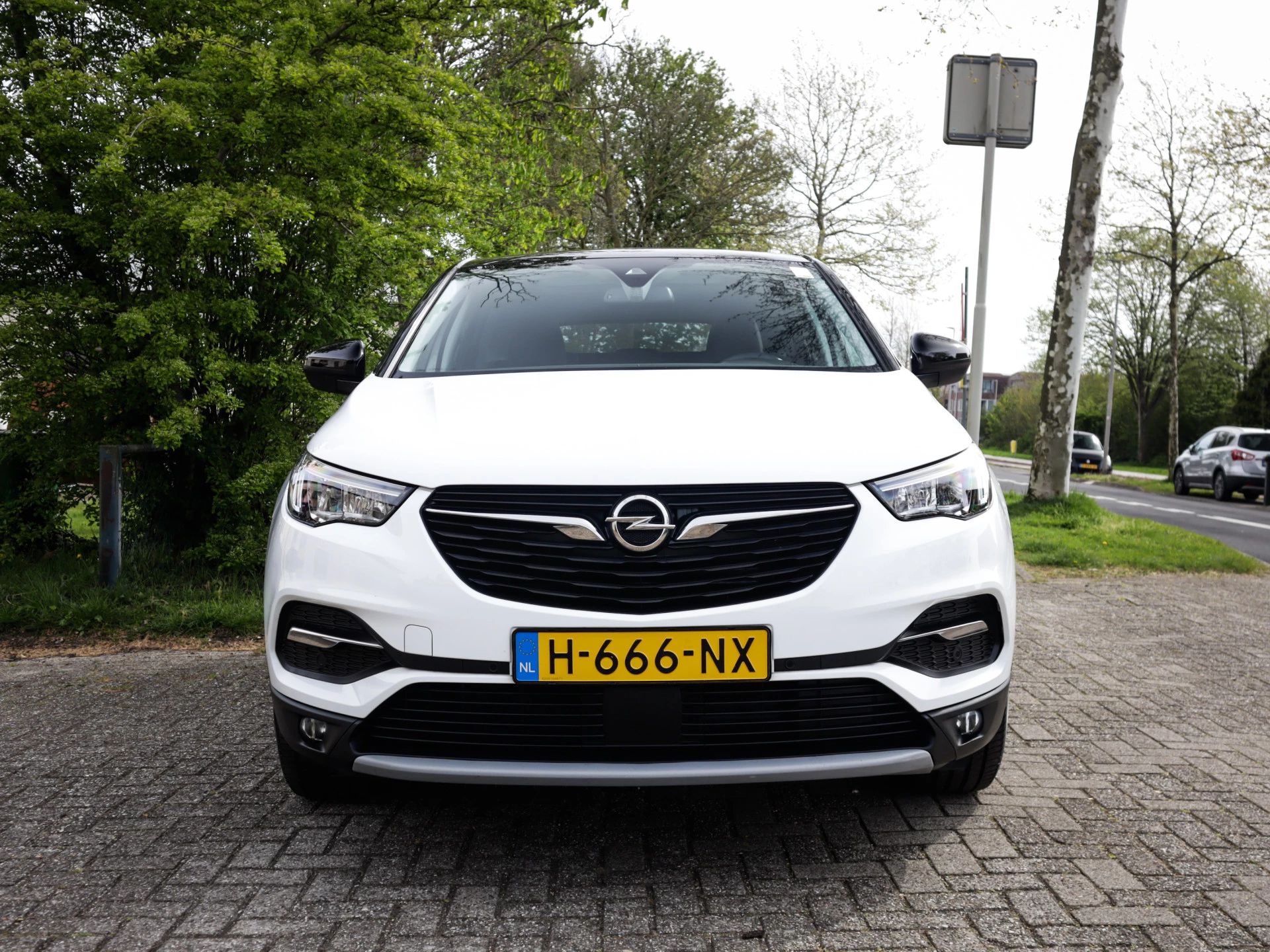 Hoofdafbeelding Opel Grandland X