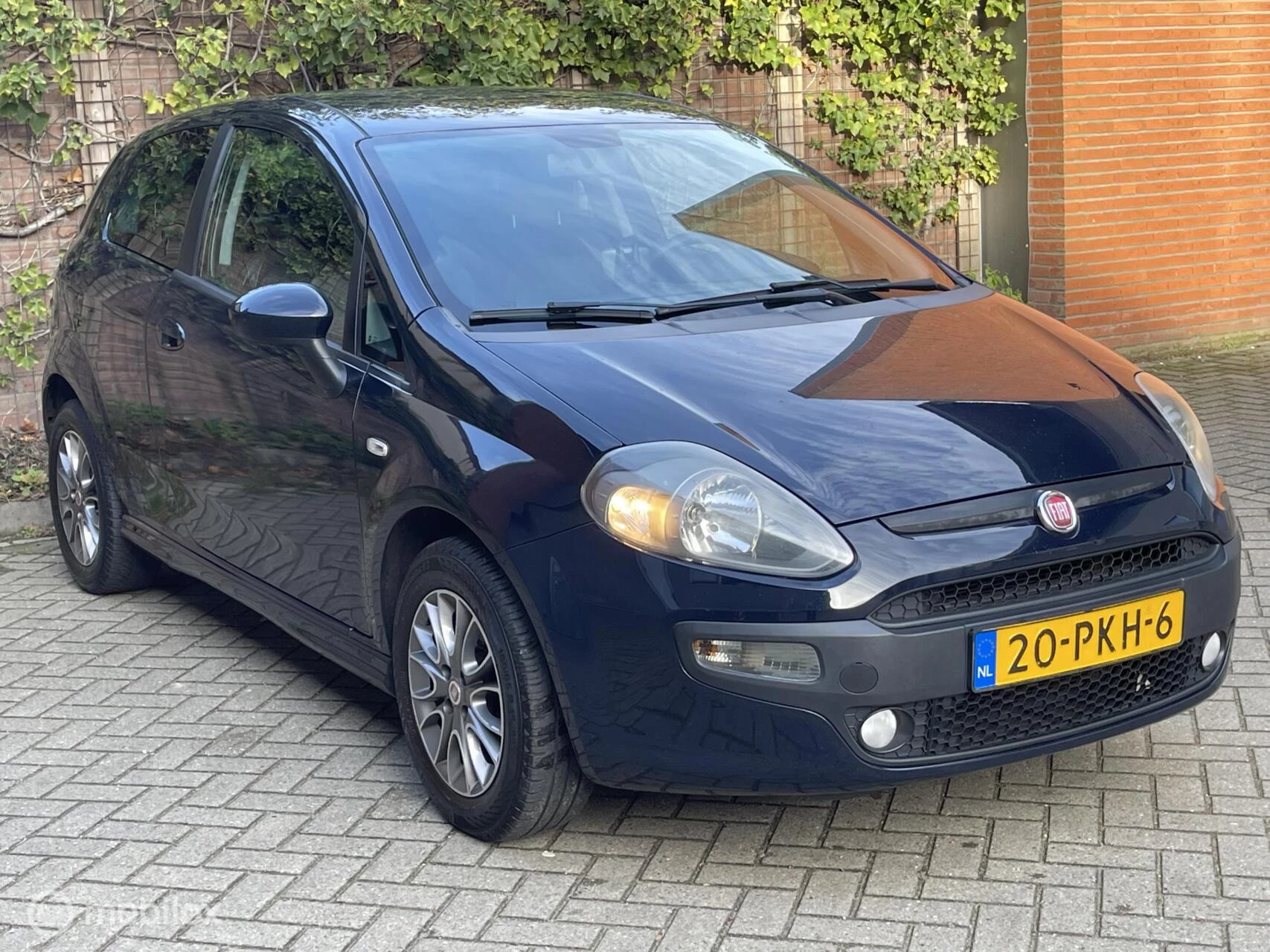 Hoofdafbeelding Fiat Punto