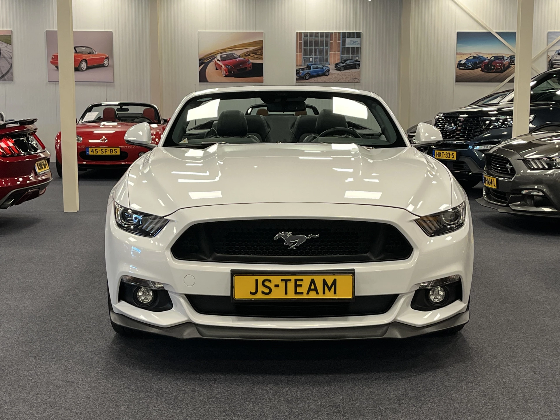 Hoofdafbeelding Ford Mustang