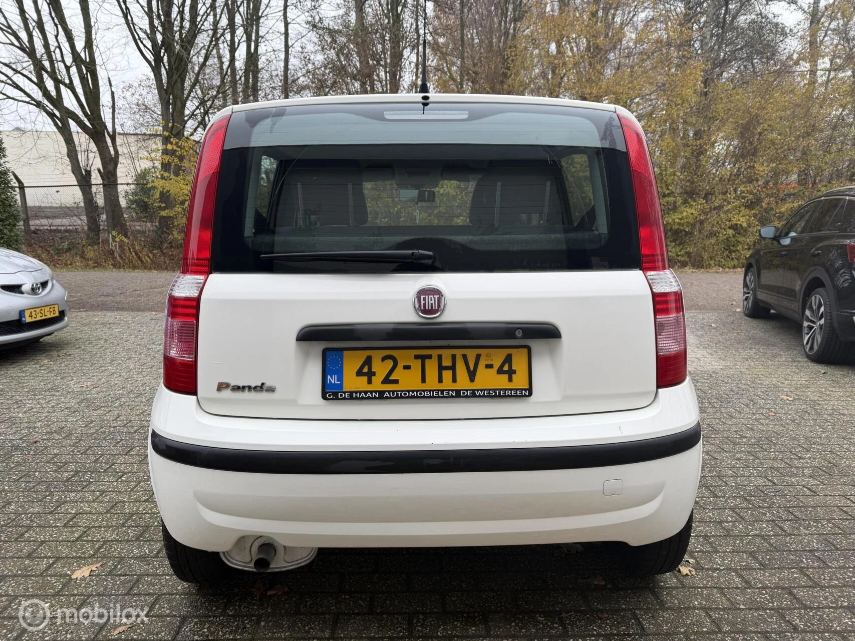 Hoofdafbeelding Fiat Panda