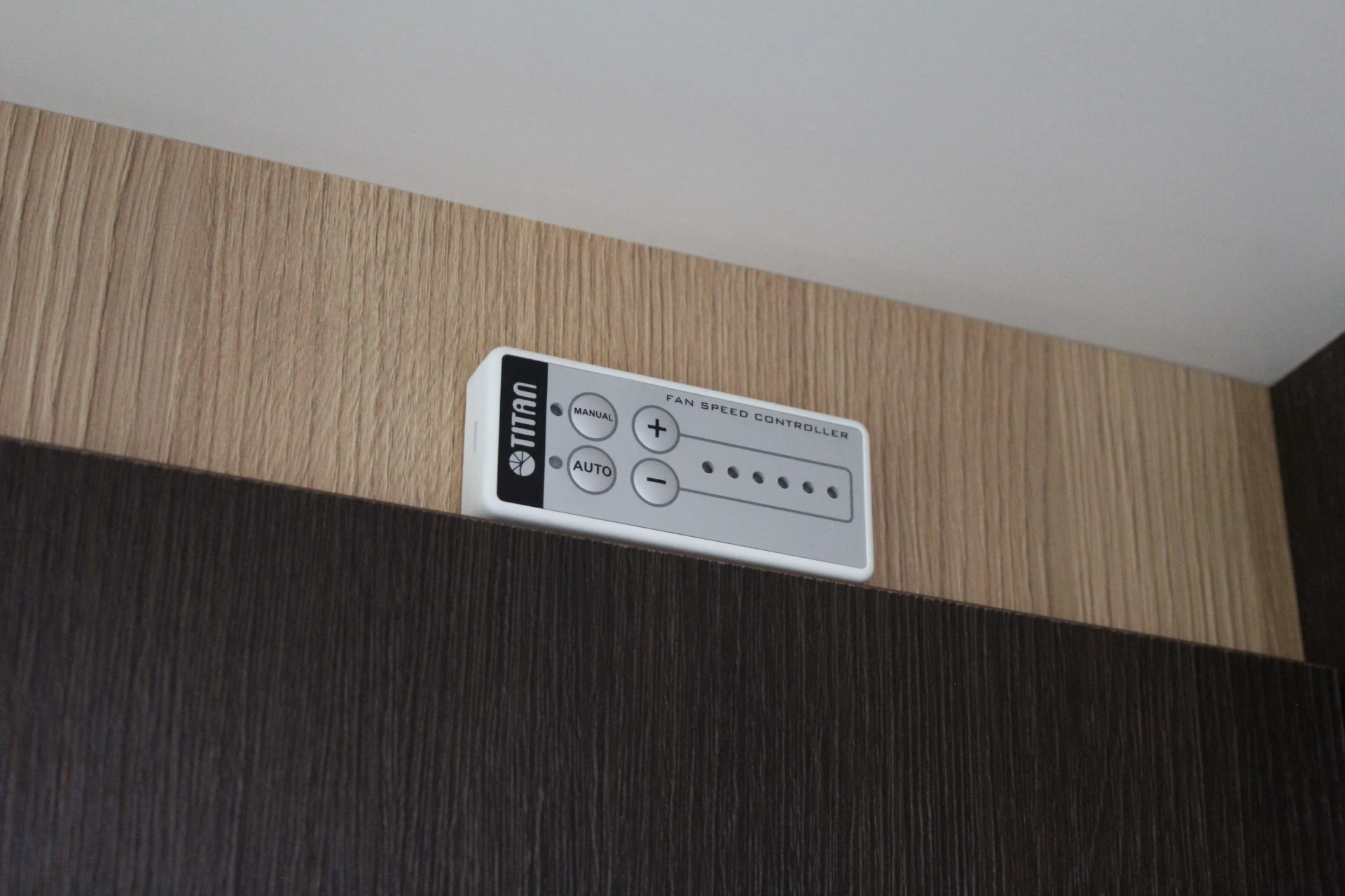 Hoofdafbeelding McLouis YEARLING