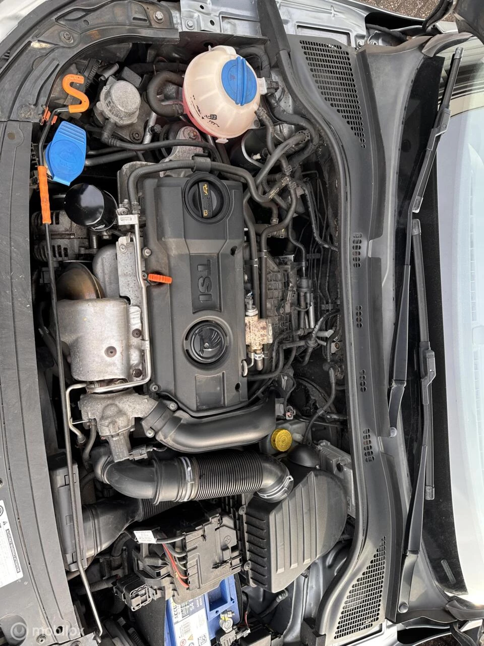 Hoofdafbeelding Škoda Rapid