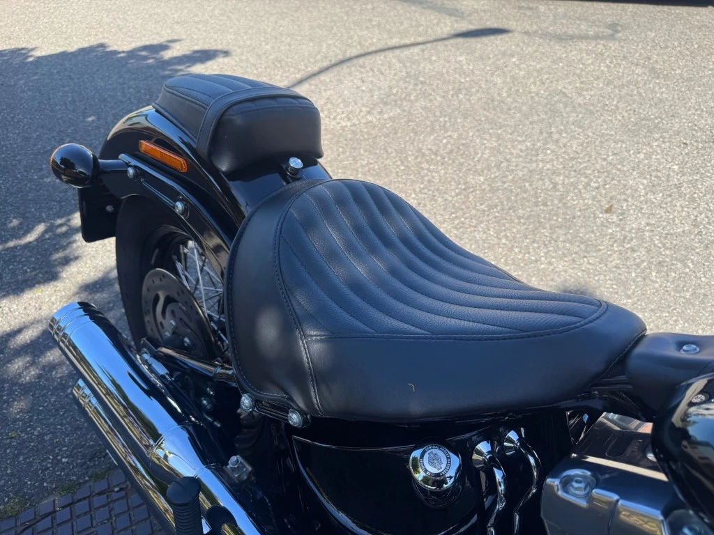 Hoofdafbeelding Harley-Davidson Softail