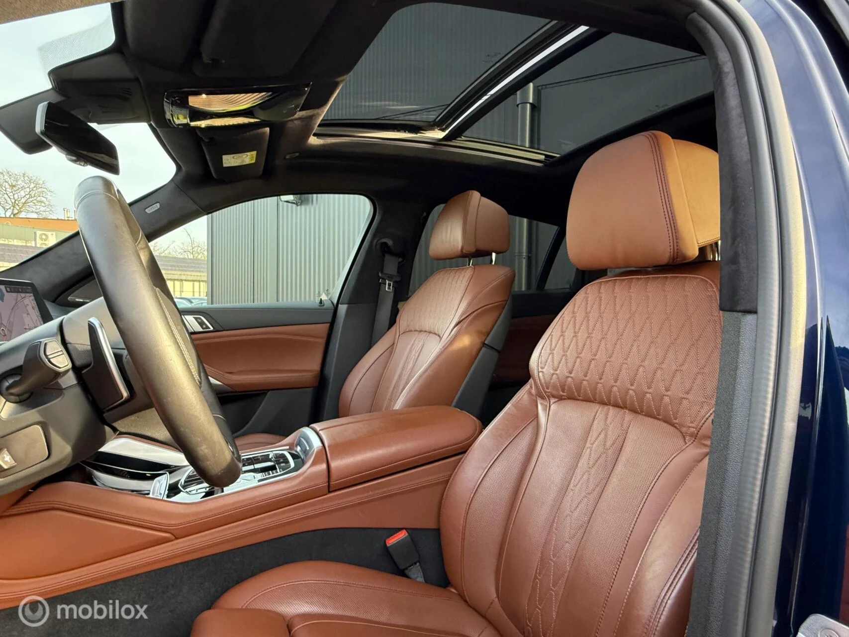 Hoofdafbeelding BMW X6