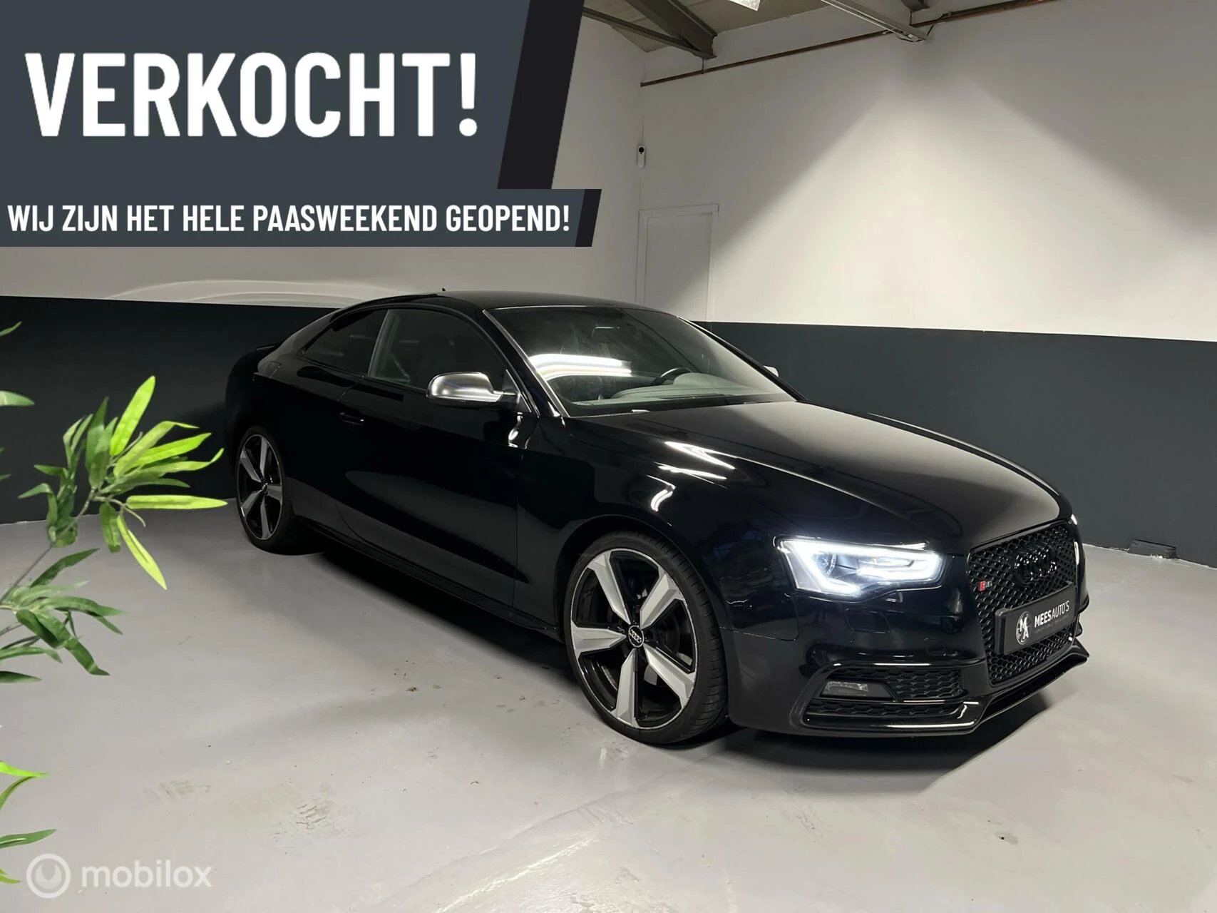 Hoofdafbeelding Audi S5