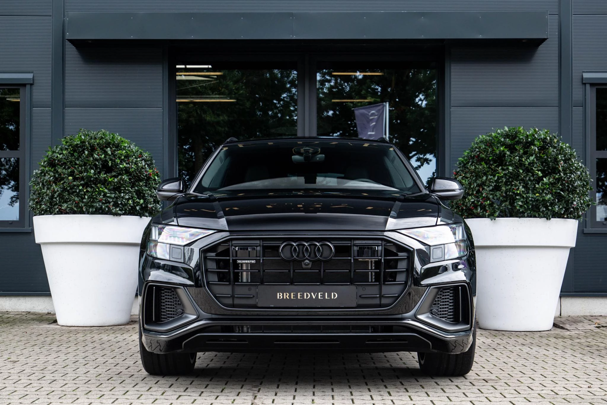 Hoofdafbeelding Audi Q8