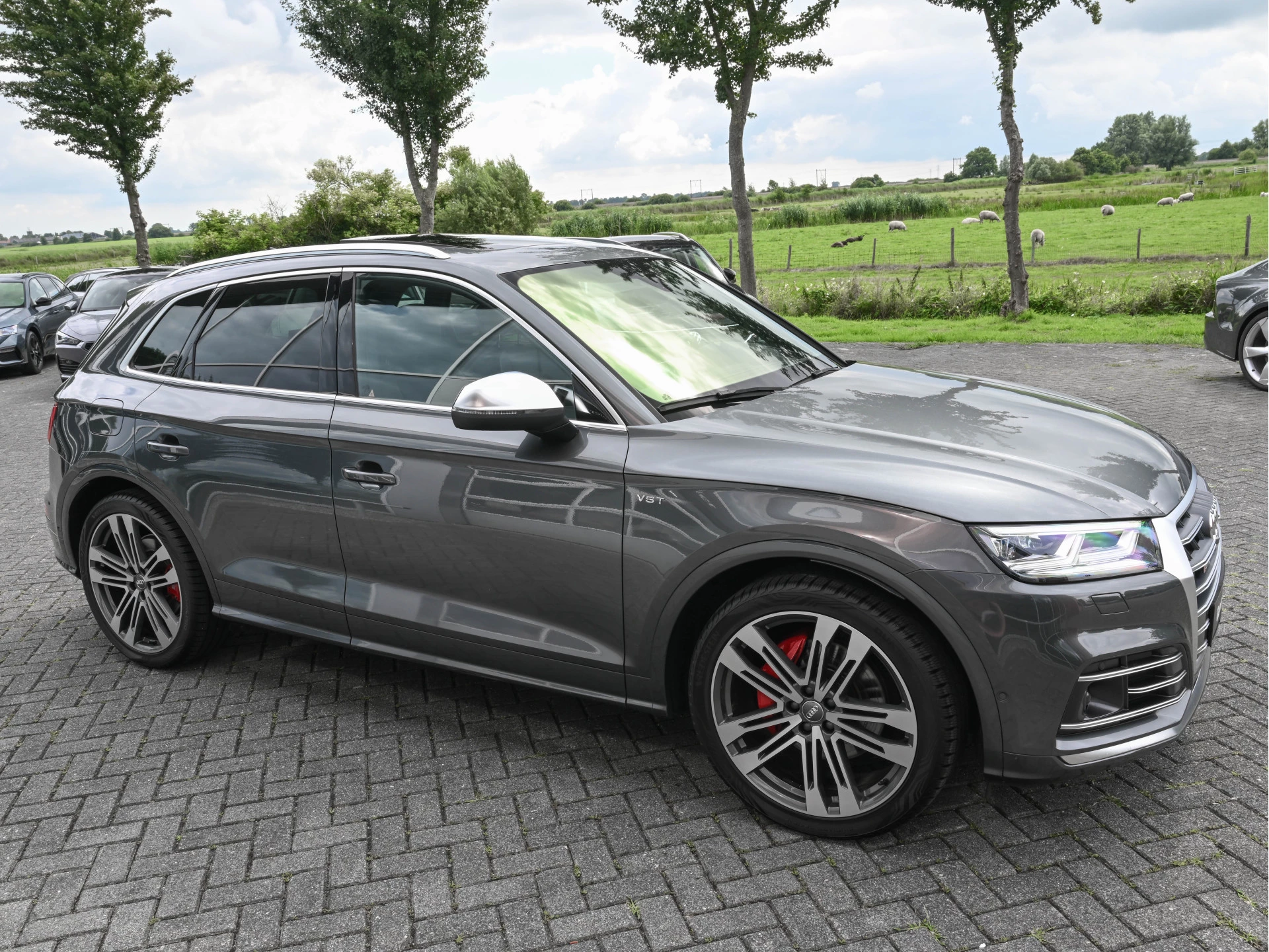 Hoofdafbeelding Audi SQ5