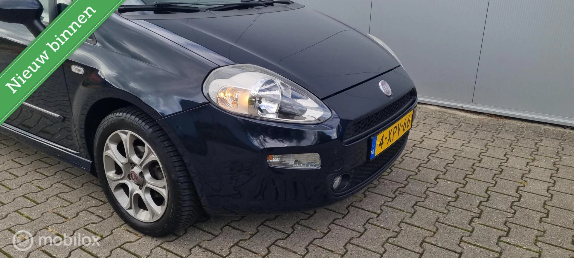 Hoofdafbeelding Fiat Punto