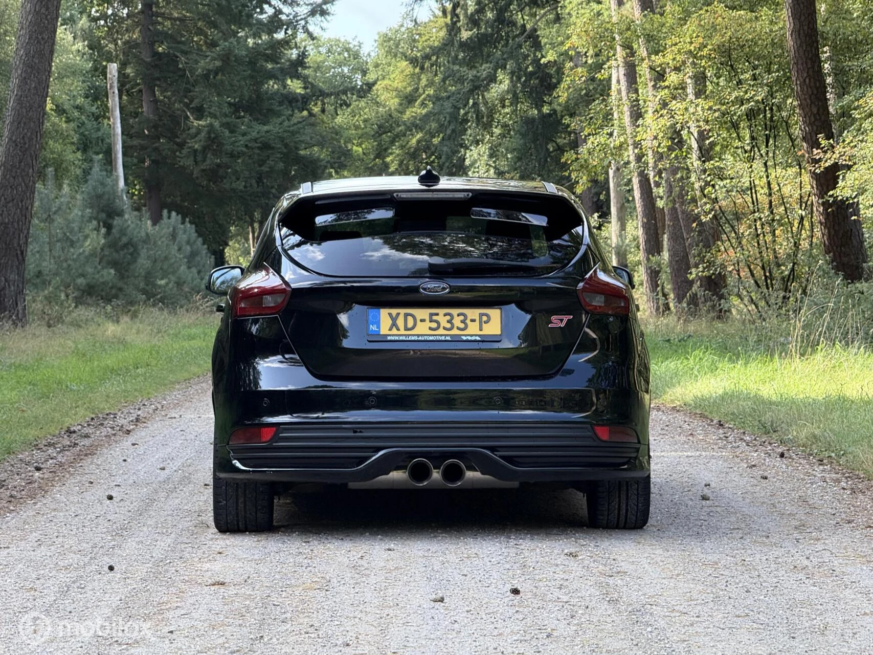 Hoofdafbeelding Ford Focus