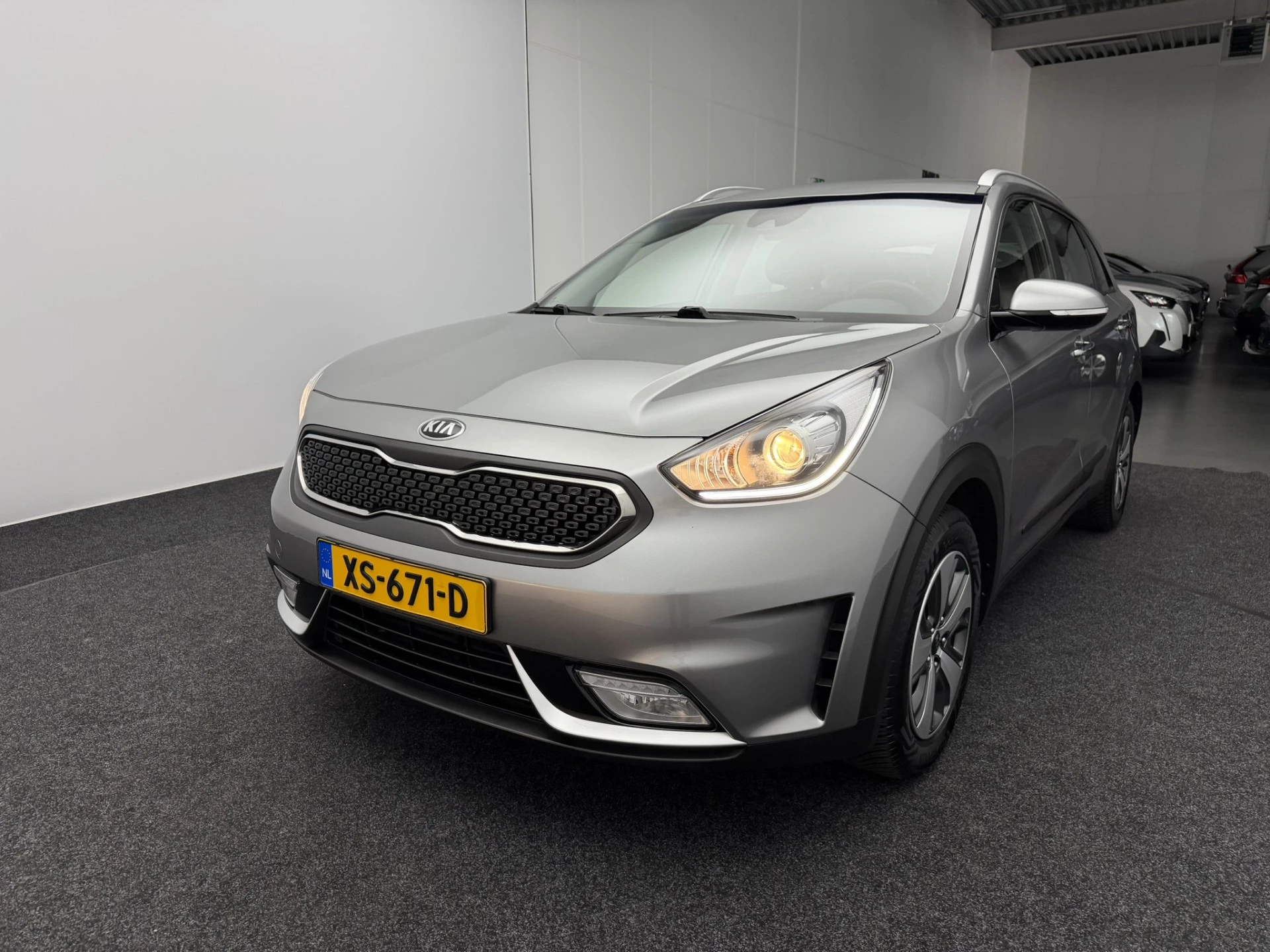 Hoofdafbeelding Kia Niro