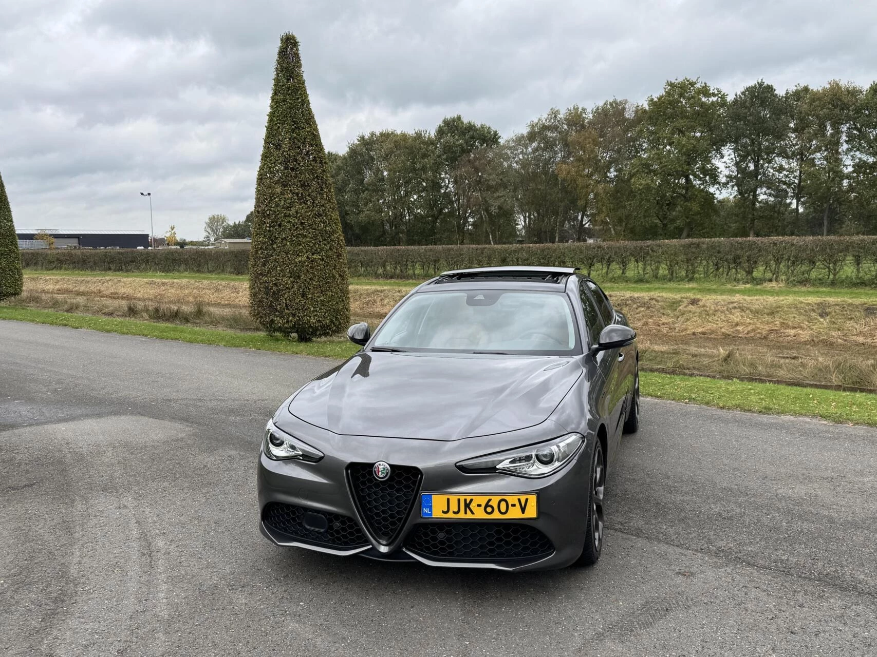 Hoofdafbeelding Alfa Romeo Giulia