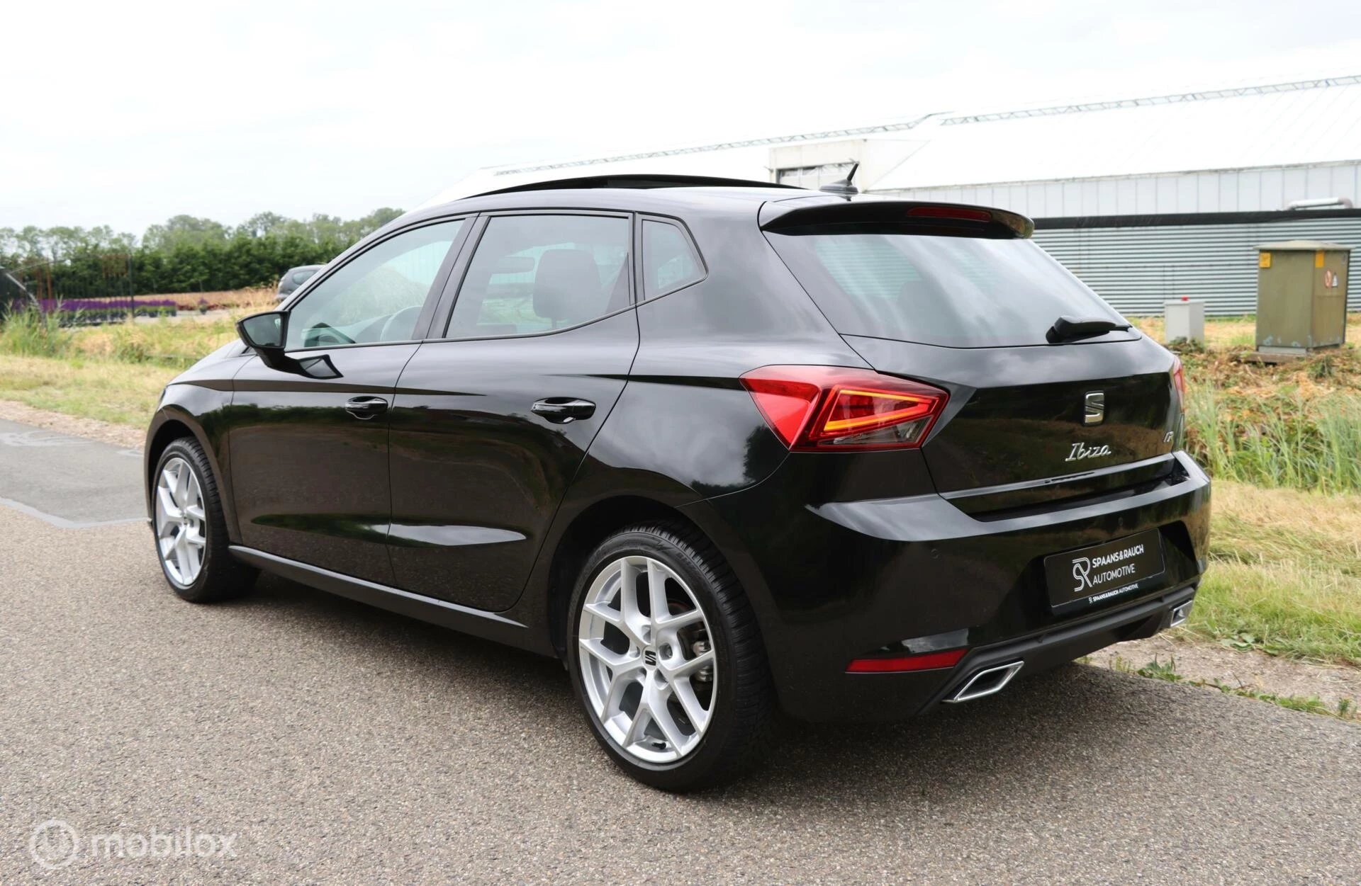 Hoofdafbeelding SEAT Ibiza