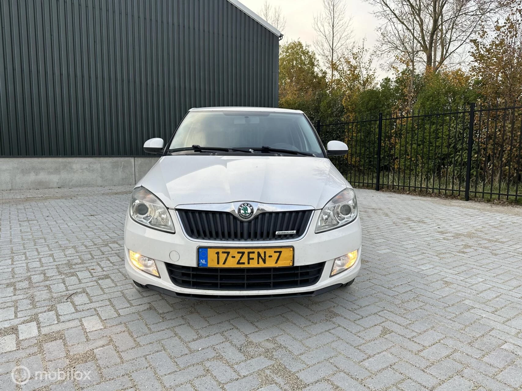 Hoofdafbeelding Škoda Fabia