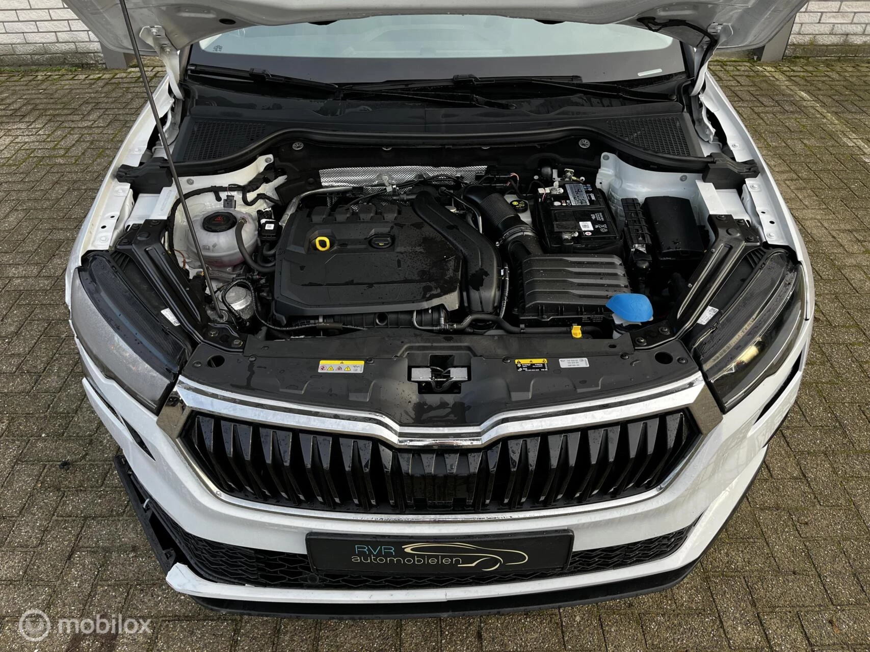 Hoofdafbeelding Škoda Karoq