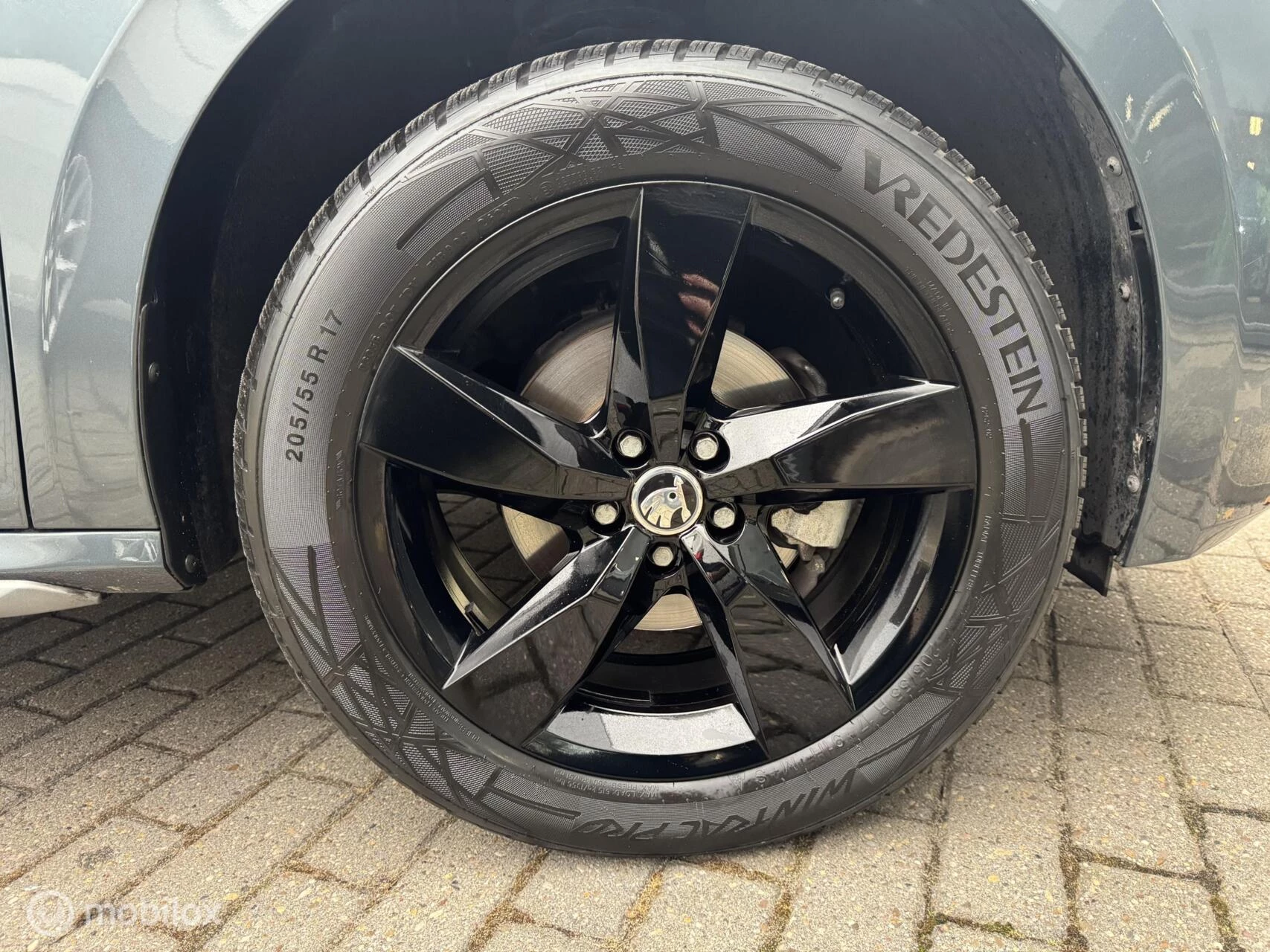 Hoofdafbeelding Škoda Kamiq