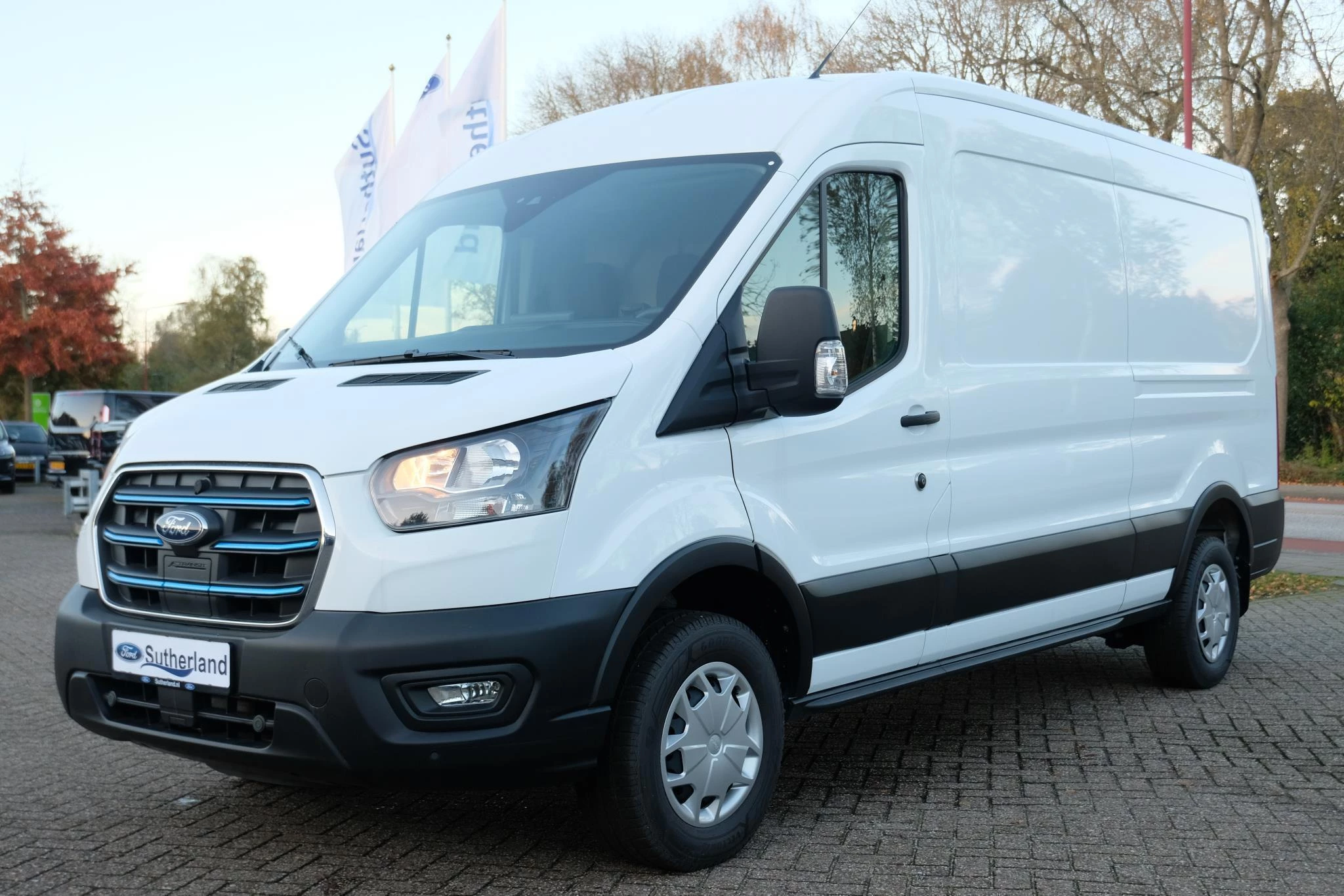 Hoofdafbeelding Ford E-Transit