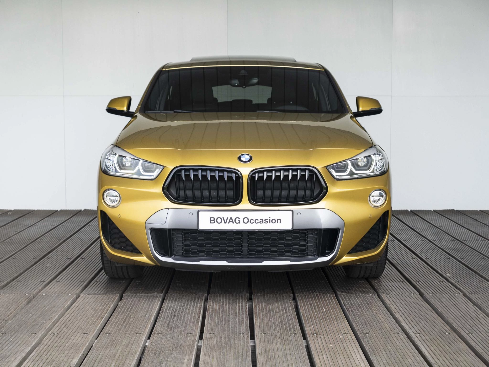 Hoofdafbeelding BMW X2