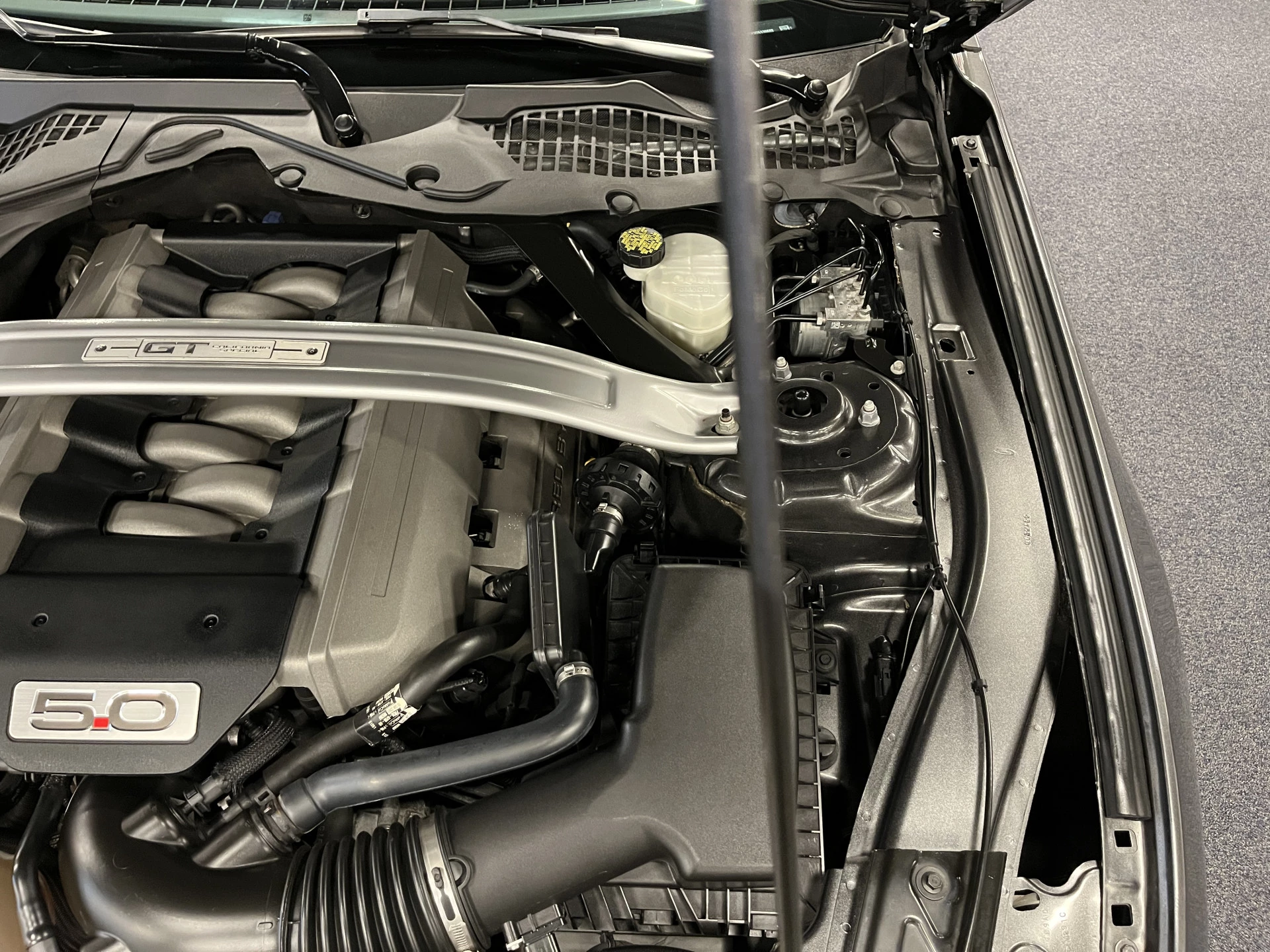 Hoofdafbeelding Ford Mustang