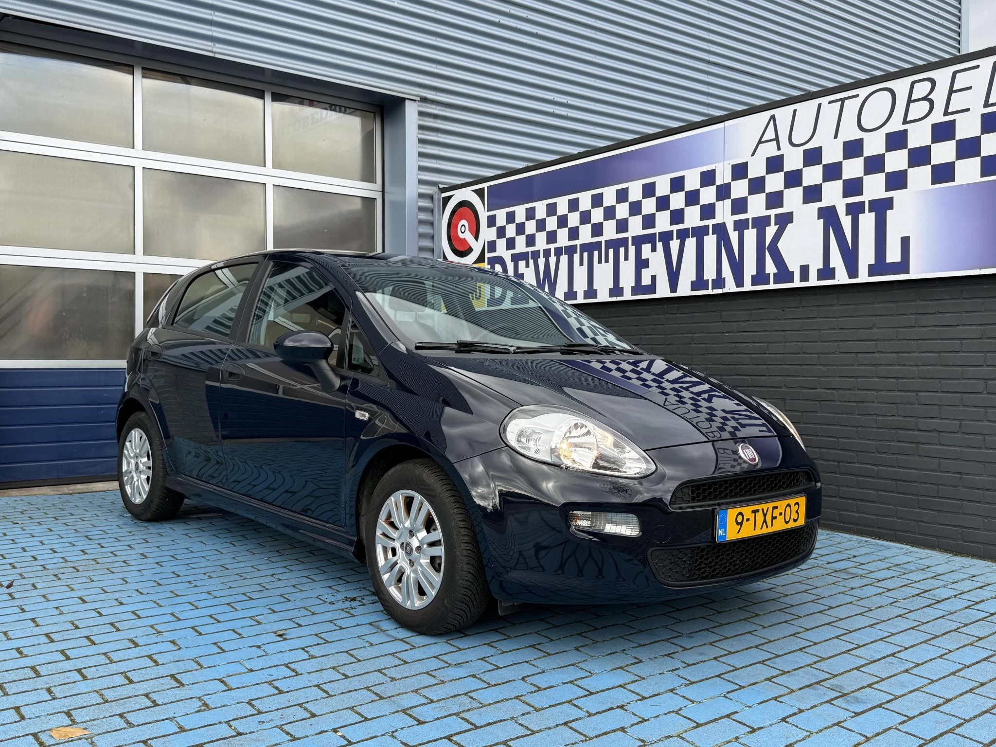 Hoofdafbeelding Fiat Punto