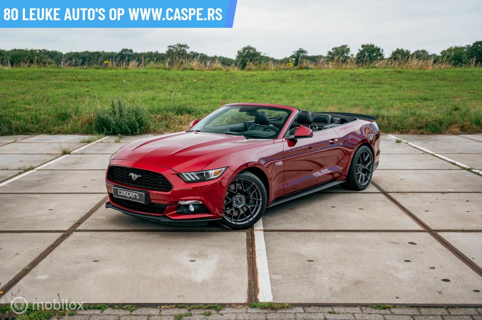 Hoofdafbeelding Ford Mustang