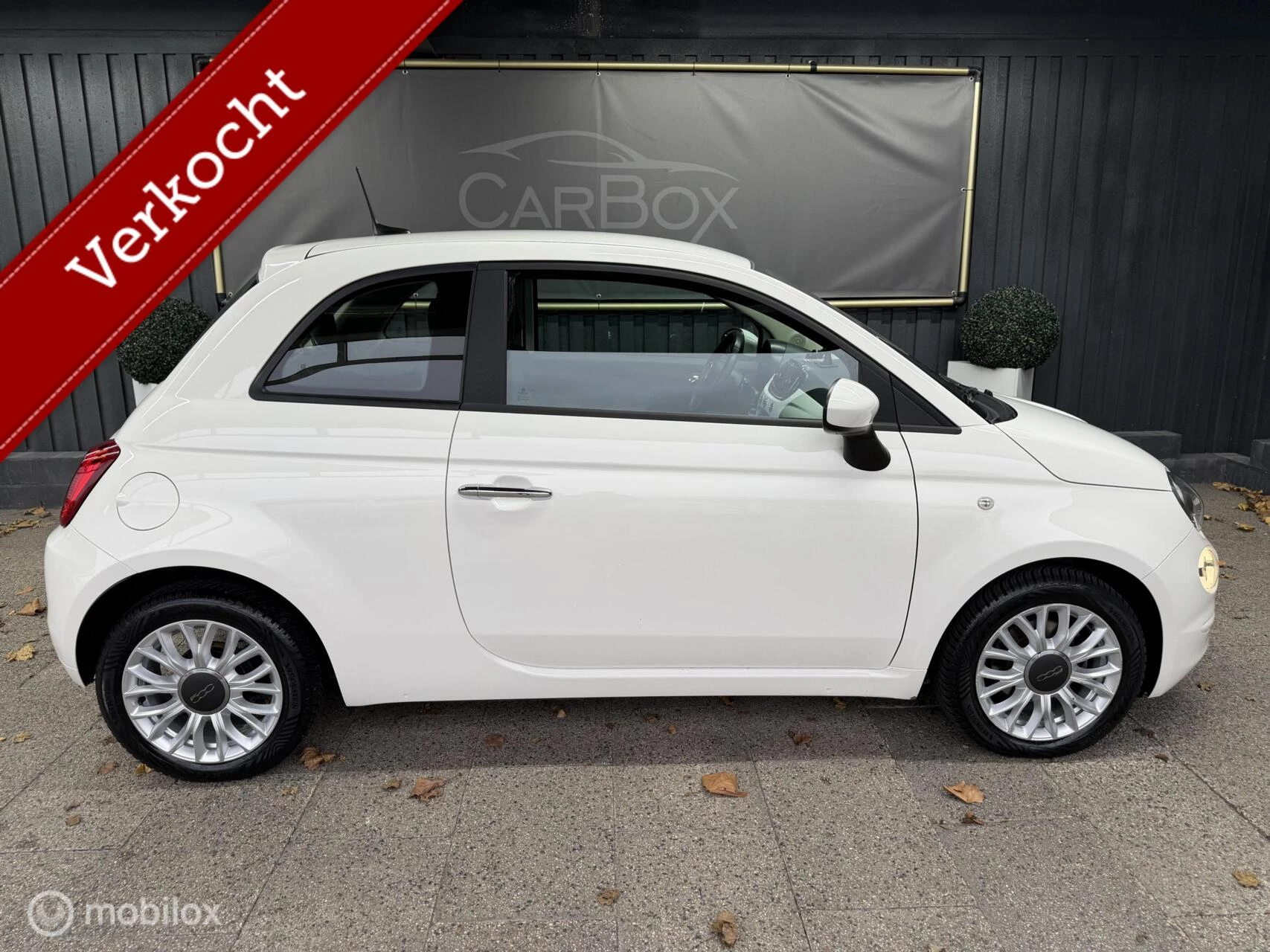 Hoofdafbeelding Fiat 500
