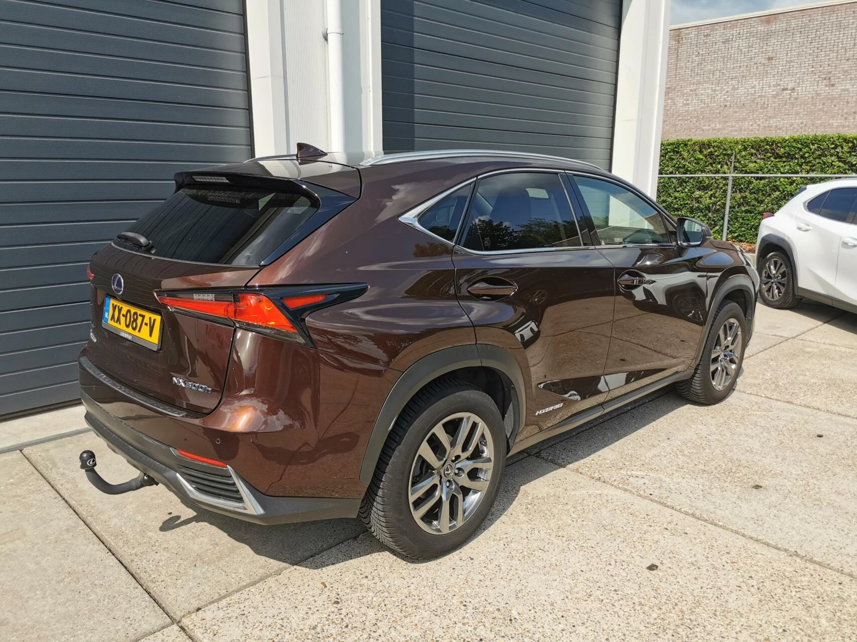 Hoofdafbeelding Lexus NX