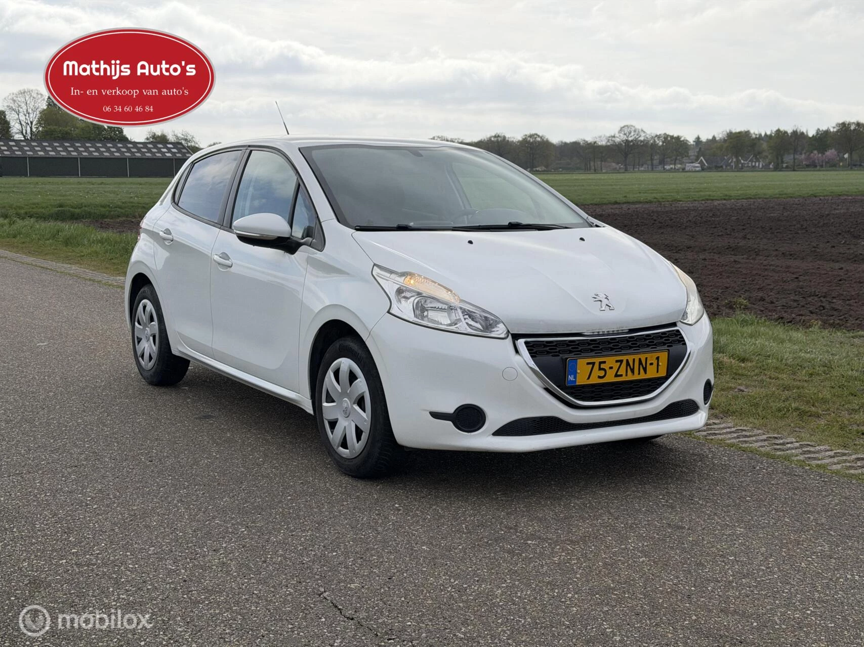 Hoofdafbeelding Peugeot 208