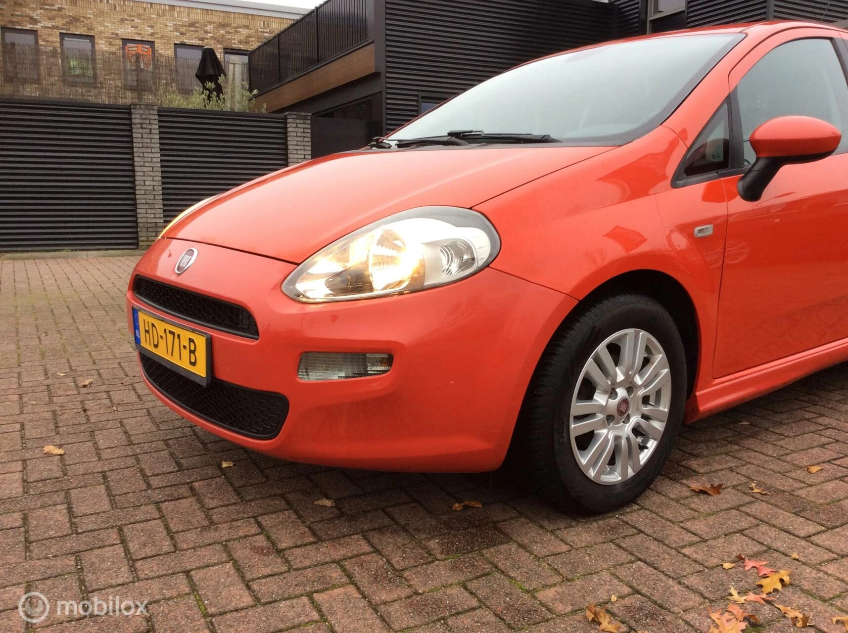 Hoofdafbeelding Fiat Punto