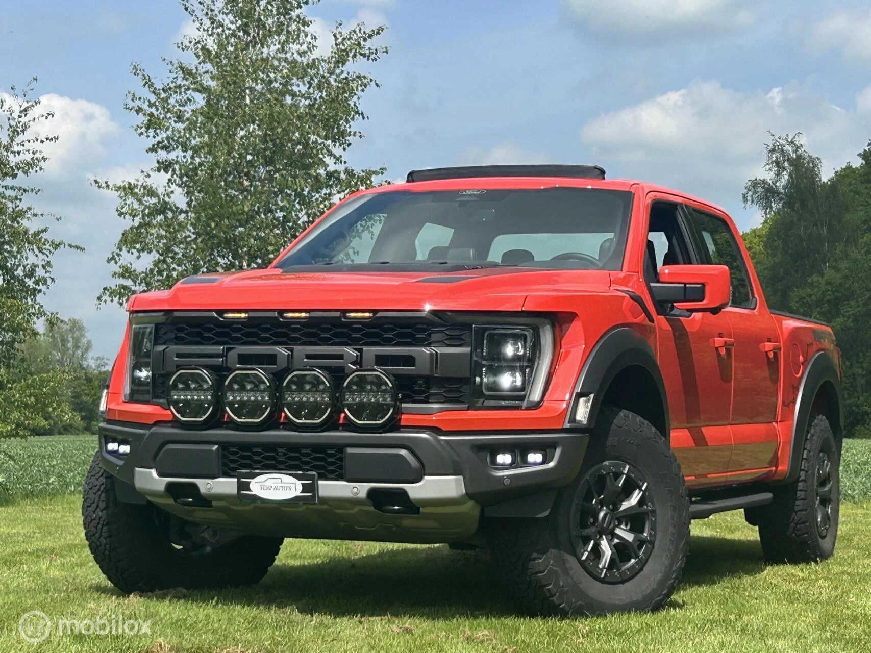 Hoofdafbeelding Ford F-150
