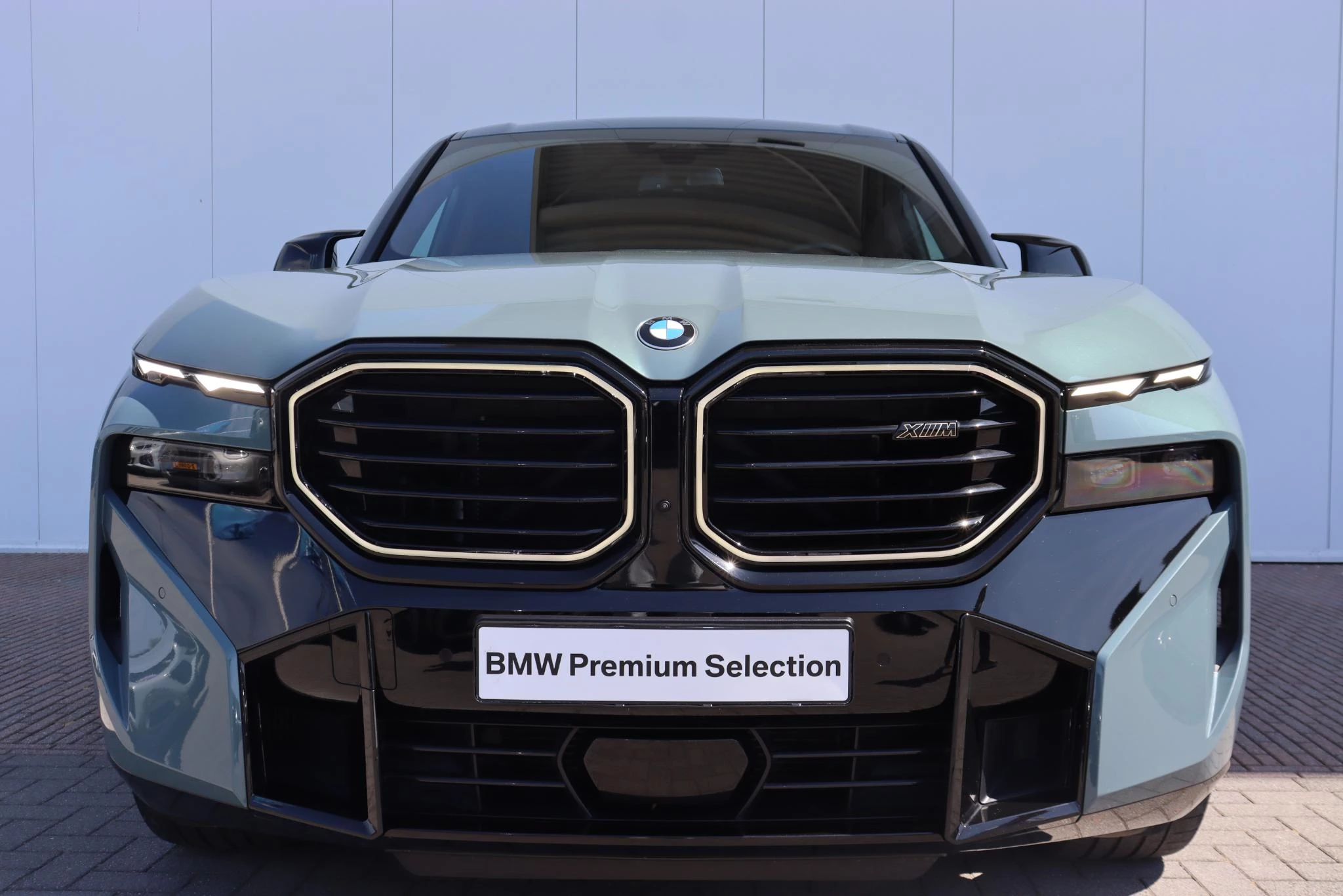 Hoofdafbeelding BMW XM