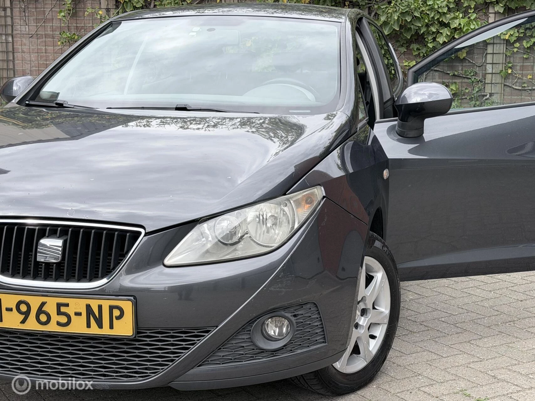 Hoofdafbeelding SEAT Ibiza