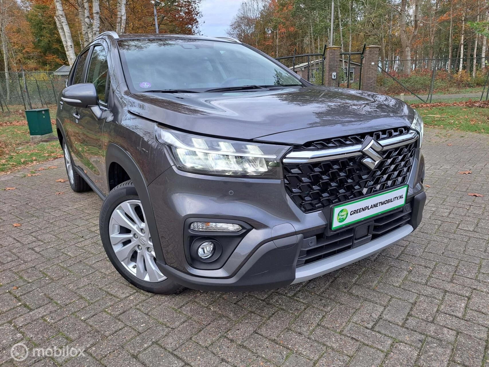 Hoofdafbeelding Suzuki S-Cross