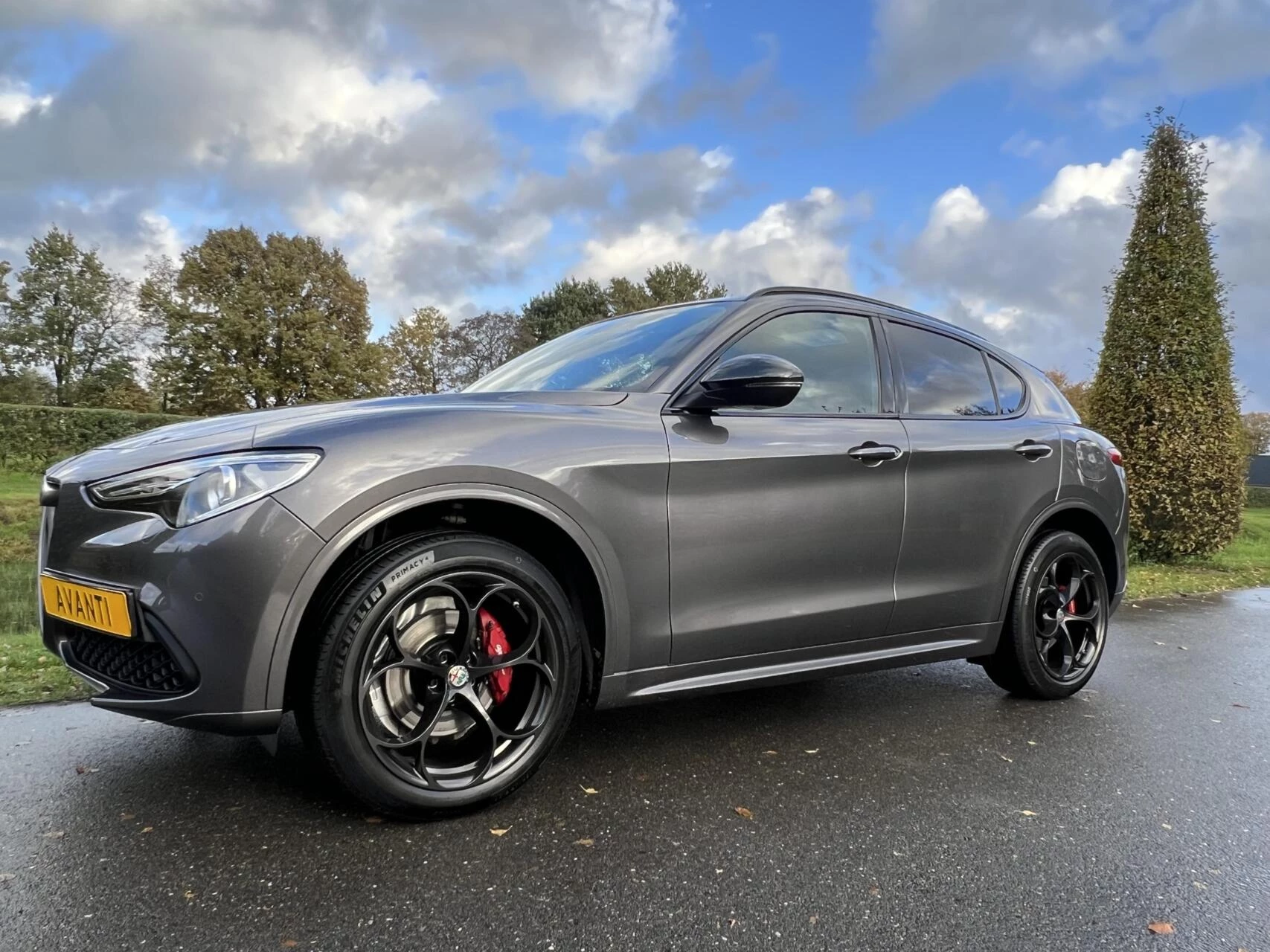 Hoofdafbeelding Alfa Romeo Stelvio