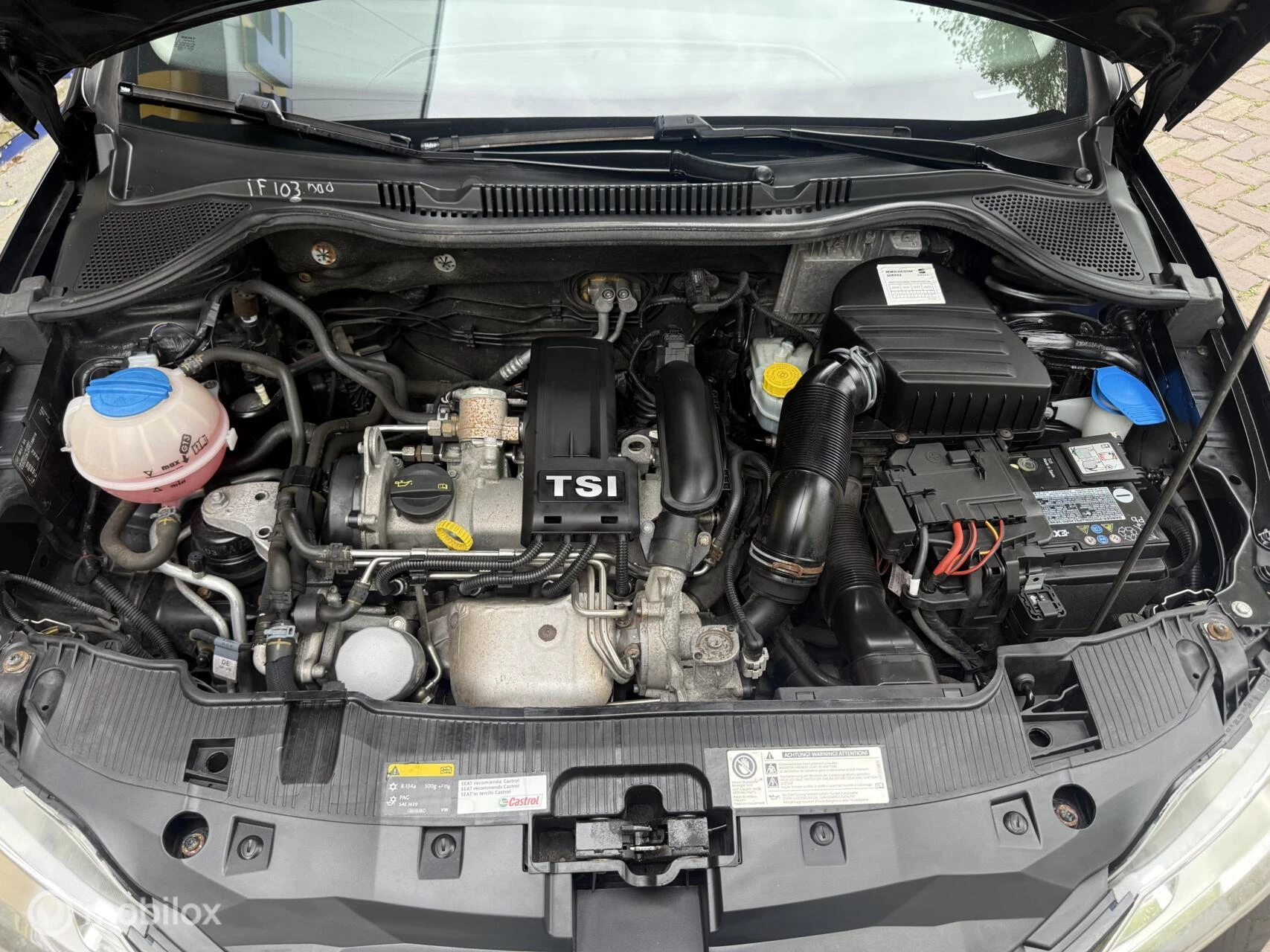 Hoofdafbeelding SEAT Ibiza