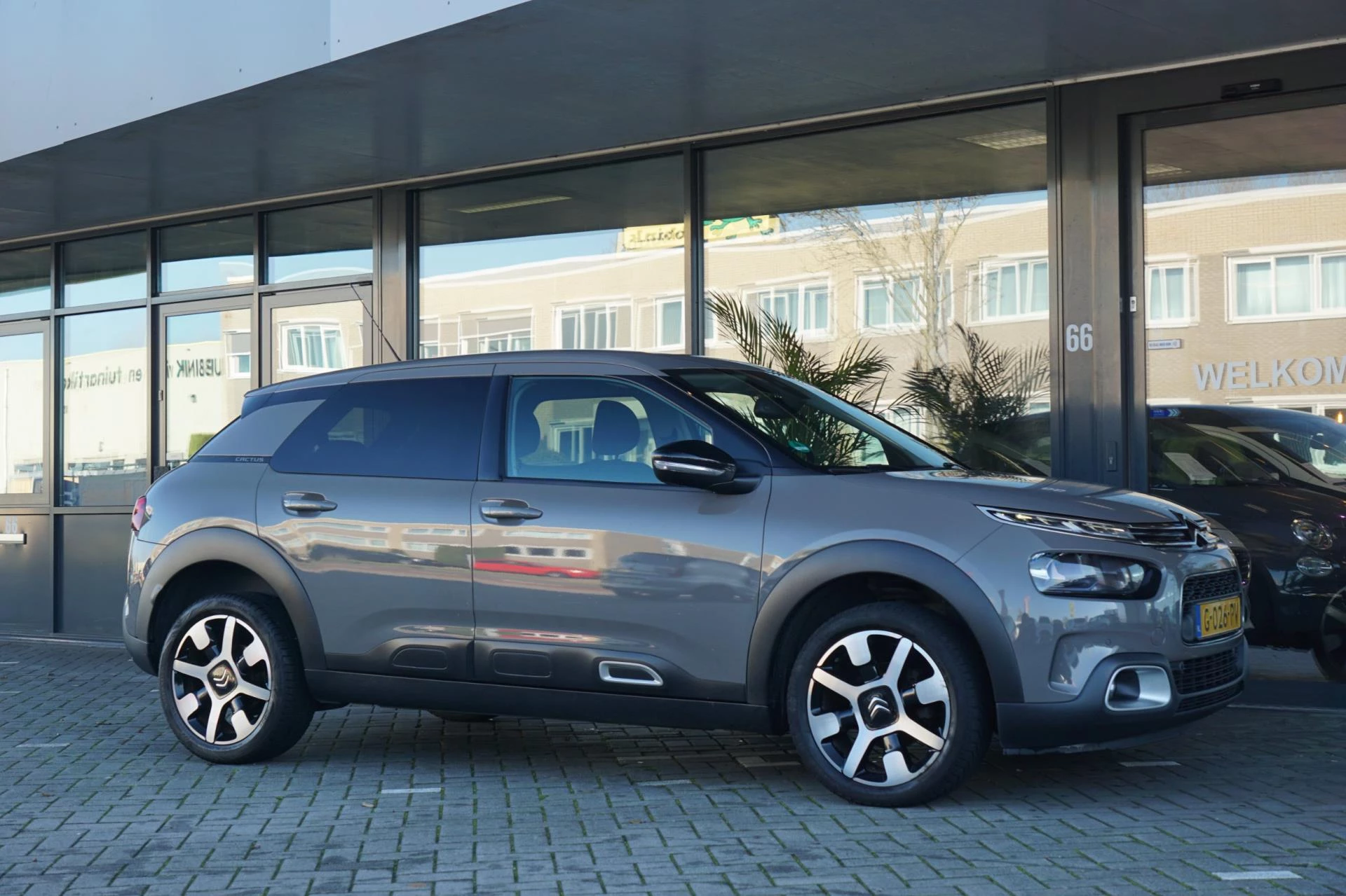 Hoofdafbeelding Citroën C4 Cactus