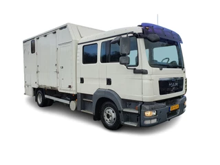 Hoofdafbeelding MAN TGL MAN TGL 8.180 (5-pers) Aut. 4X2 BL EEV *PAARDEN (2) /HORSES (2) TRAILER* AUT. *PAARDEN TRAILER- PFERDETRANSPORTWAGEN - HORSES TRAILER* *lengte: 760cm l breedte:236cm l hoogte:325cm*